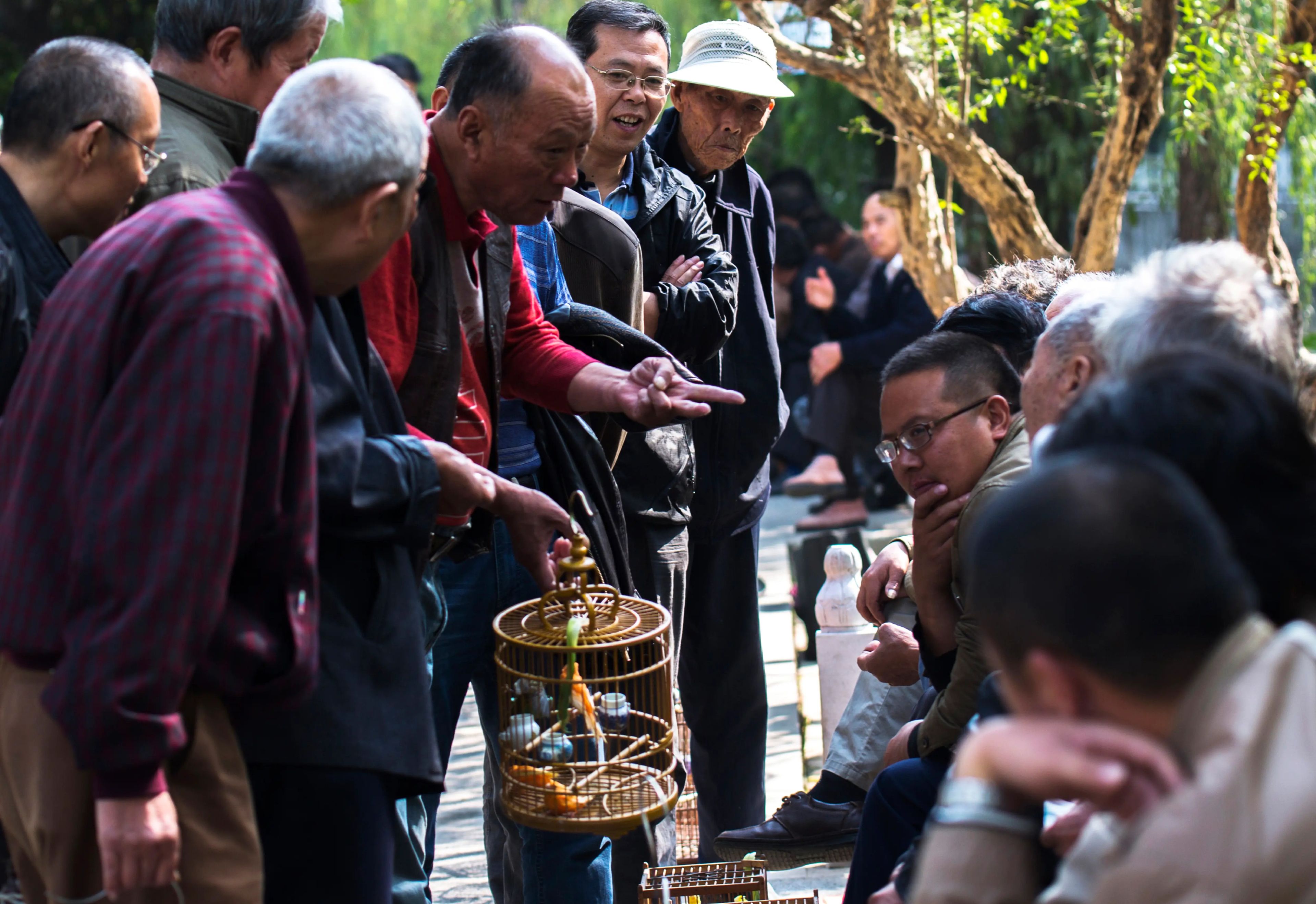 Unos ancianos chinos negocian con sus pájaros en un mercado ambulante.