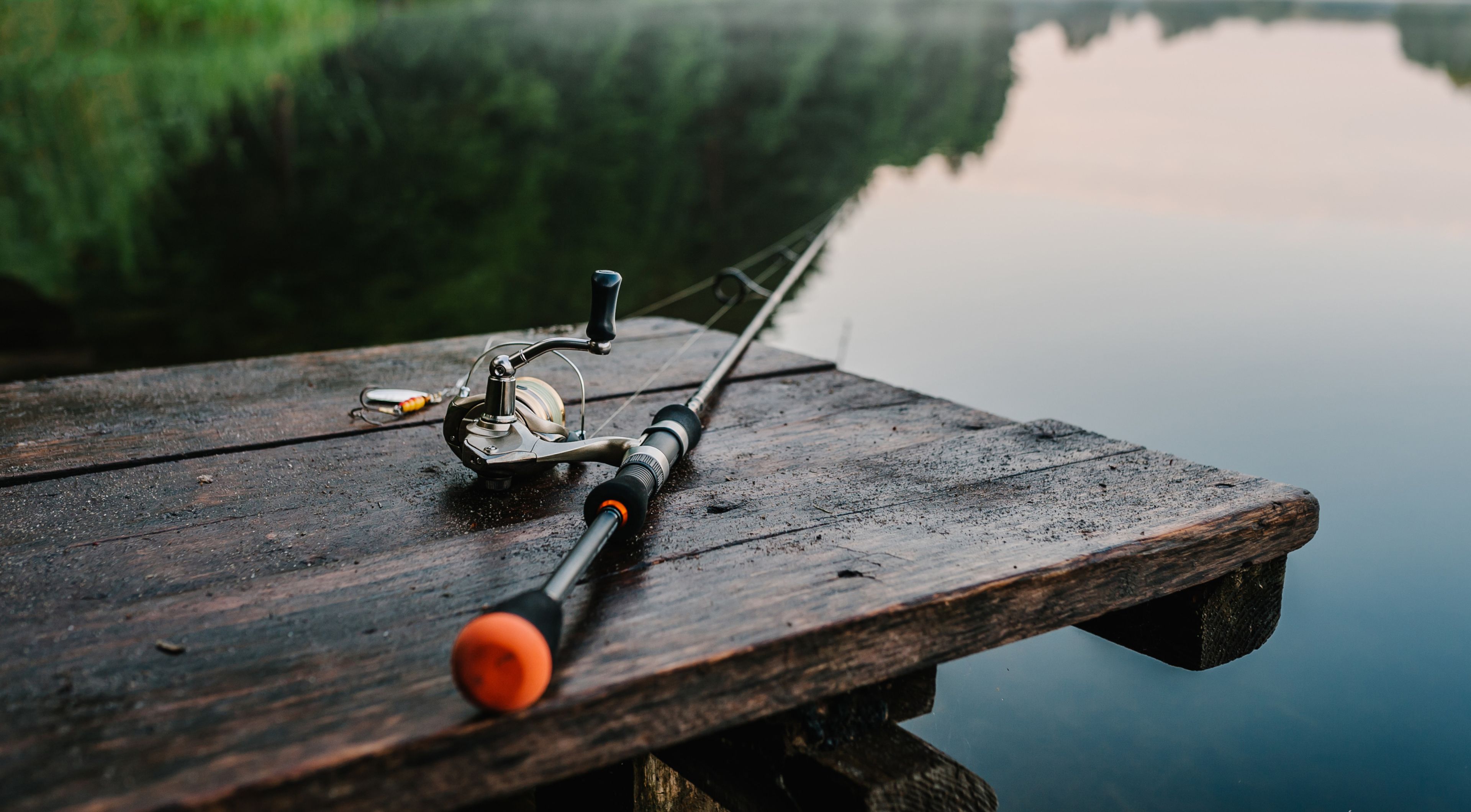 Detenerse altura tonto 5 cañas de pescar baratas y buenas para principiantes y novatos | Business  Insider España