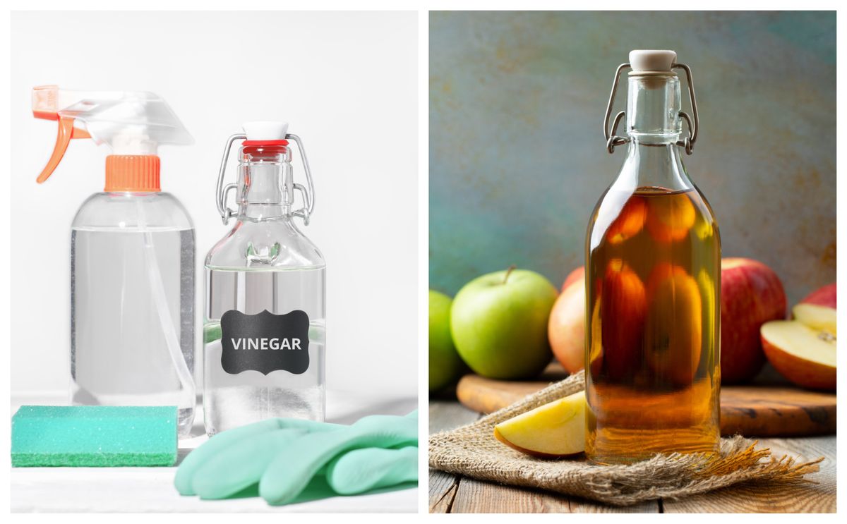 the-difference-between-white-vinegar-and-cleaning-vinegar-rival-times