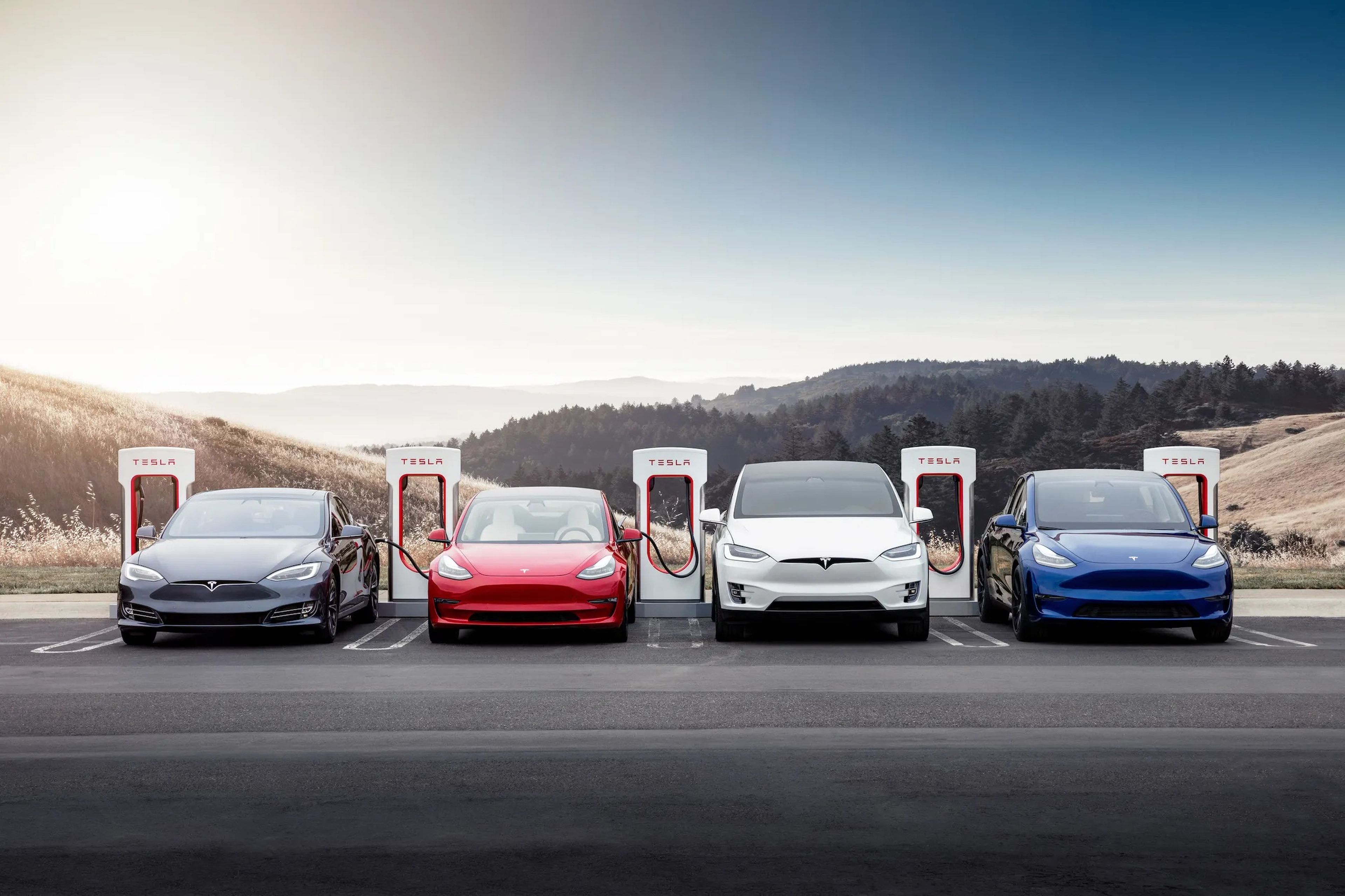 Los propietarios de Tesla alabaron la rápida aceleración de sus coches y la red de Supercargadores de la empresa.