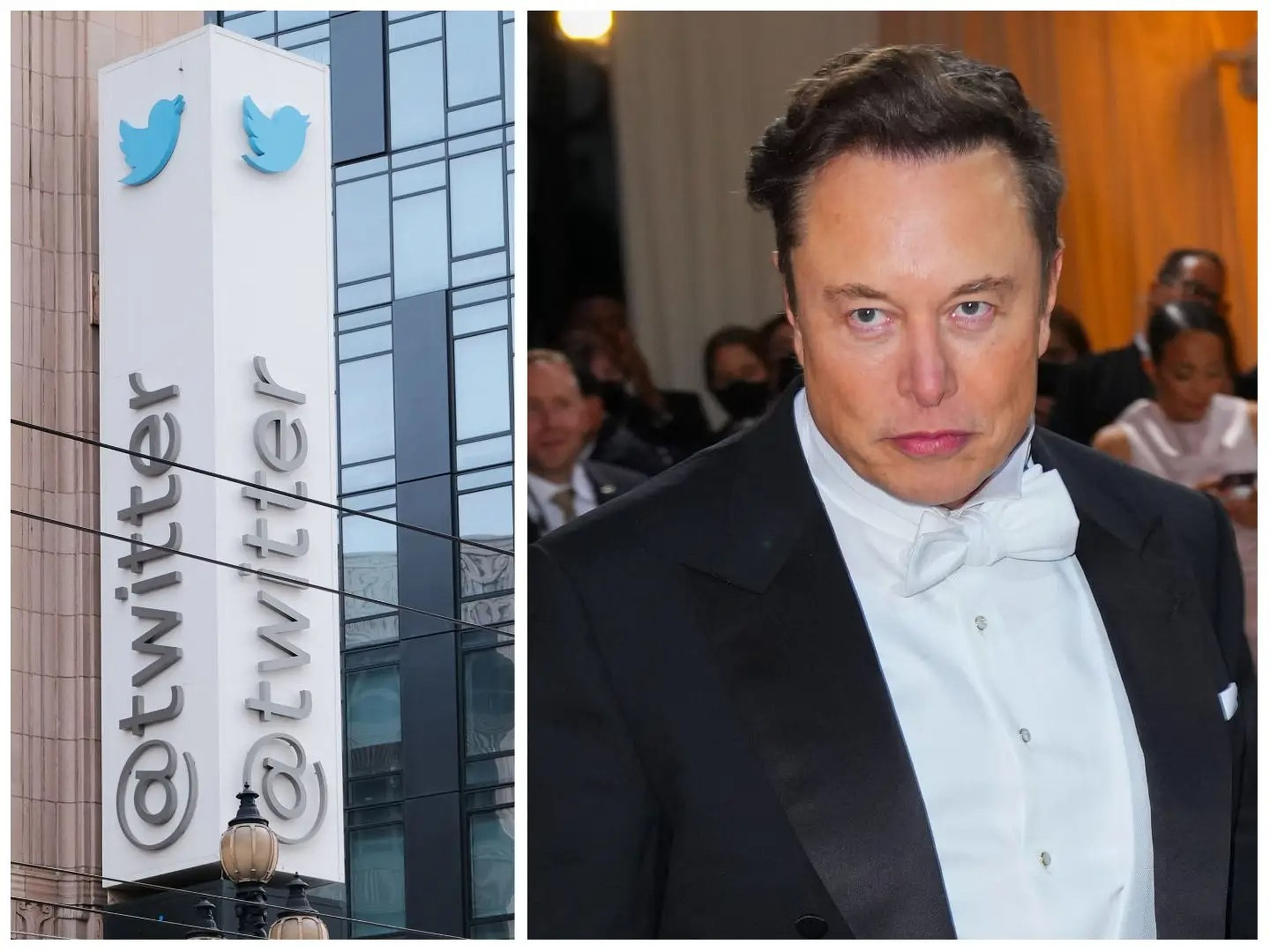 El CEO y propietario de Twitter, Elon Musk.
