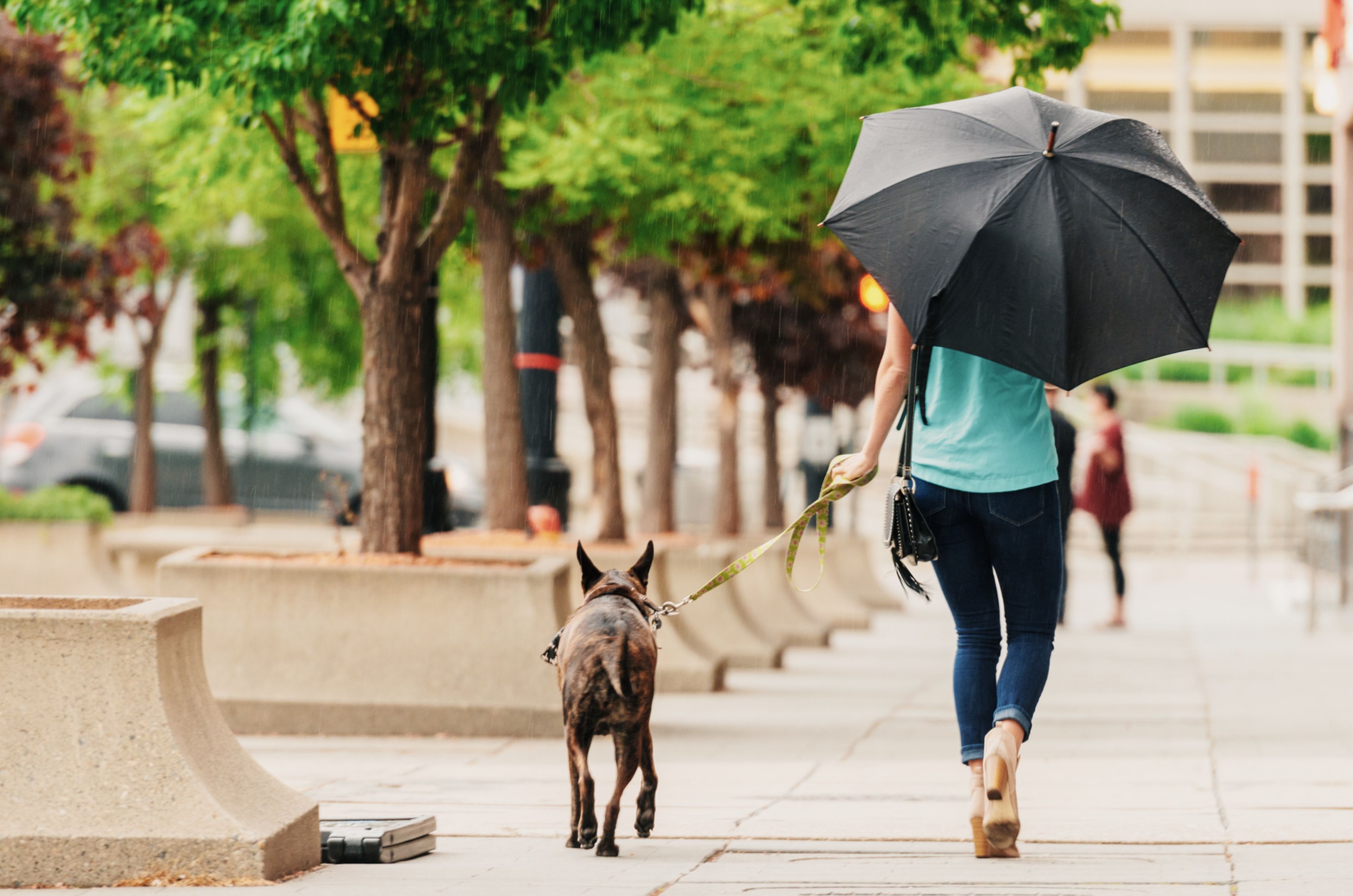Chica paseando con paraguas en primavera