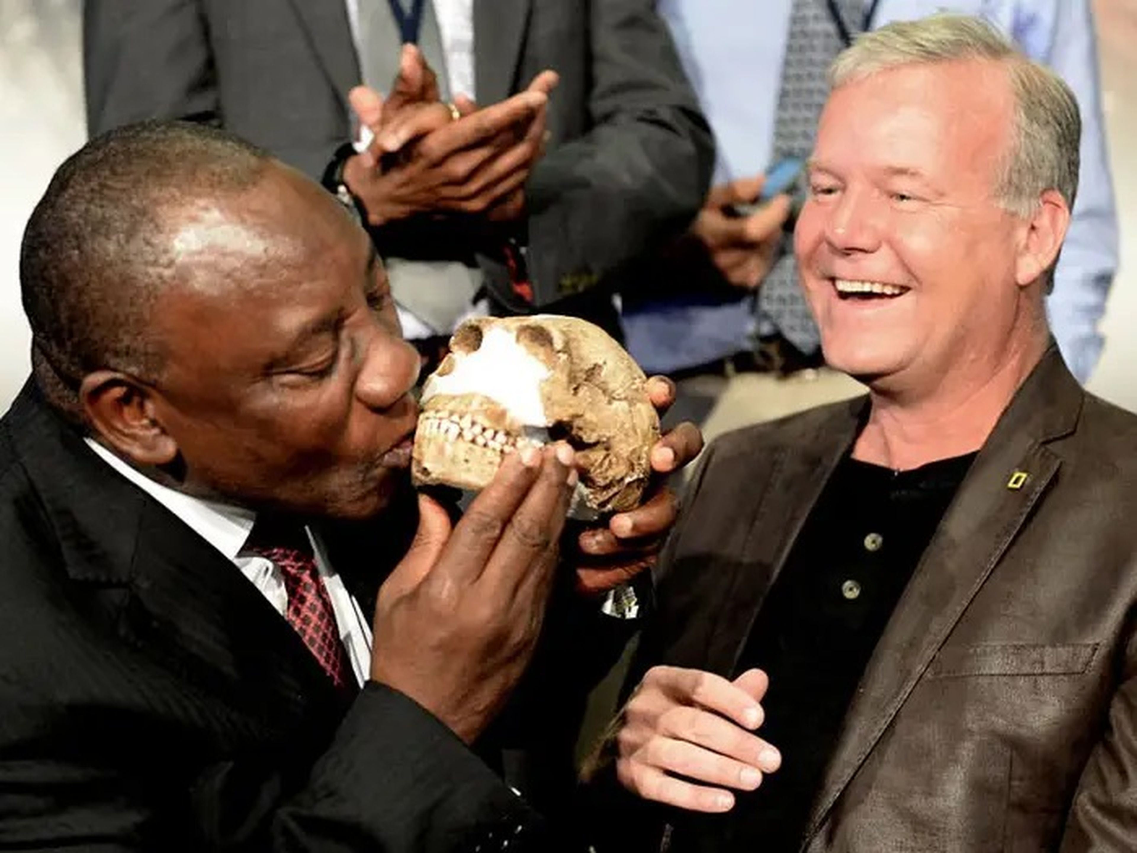 El antiguo pariente humano que se muestra aquí, llamado Homo naledi, tenía un cerebro más pequeño y dedos inusualmente curvados.
