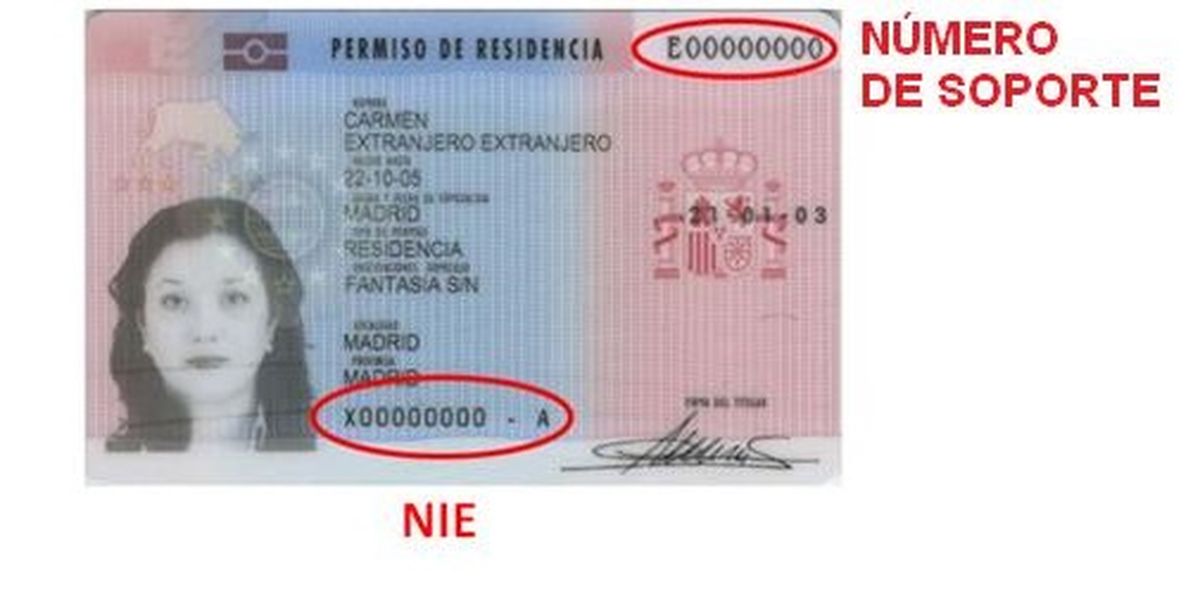 Cómo conseguir el número de soporte en el NIE y para qué sirve