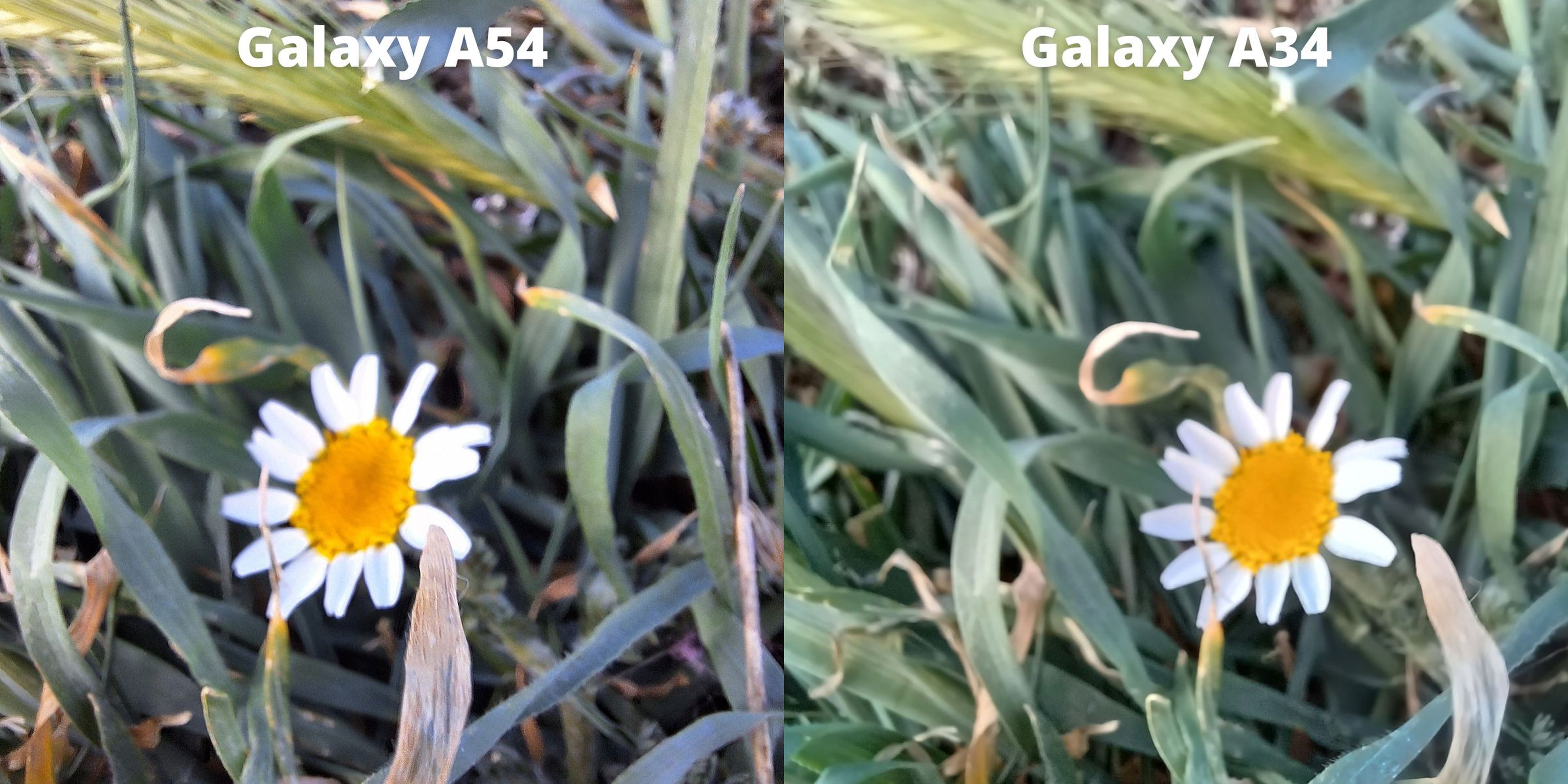 Comparativa Samsung Galaxy A54 vs Galaxy A34