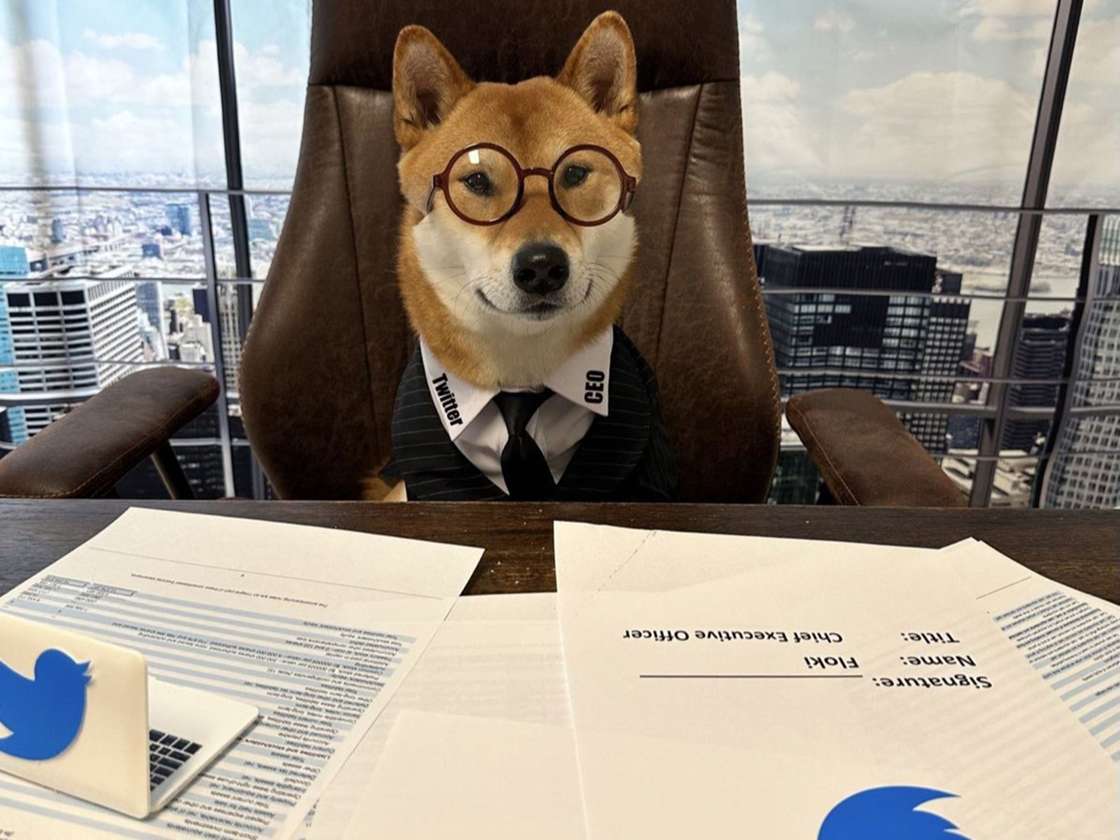 Una foto de Floki, el perro de Elon Musk, como CEO de Twitter.