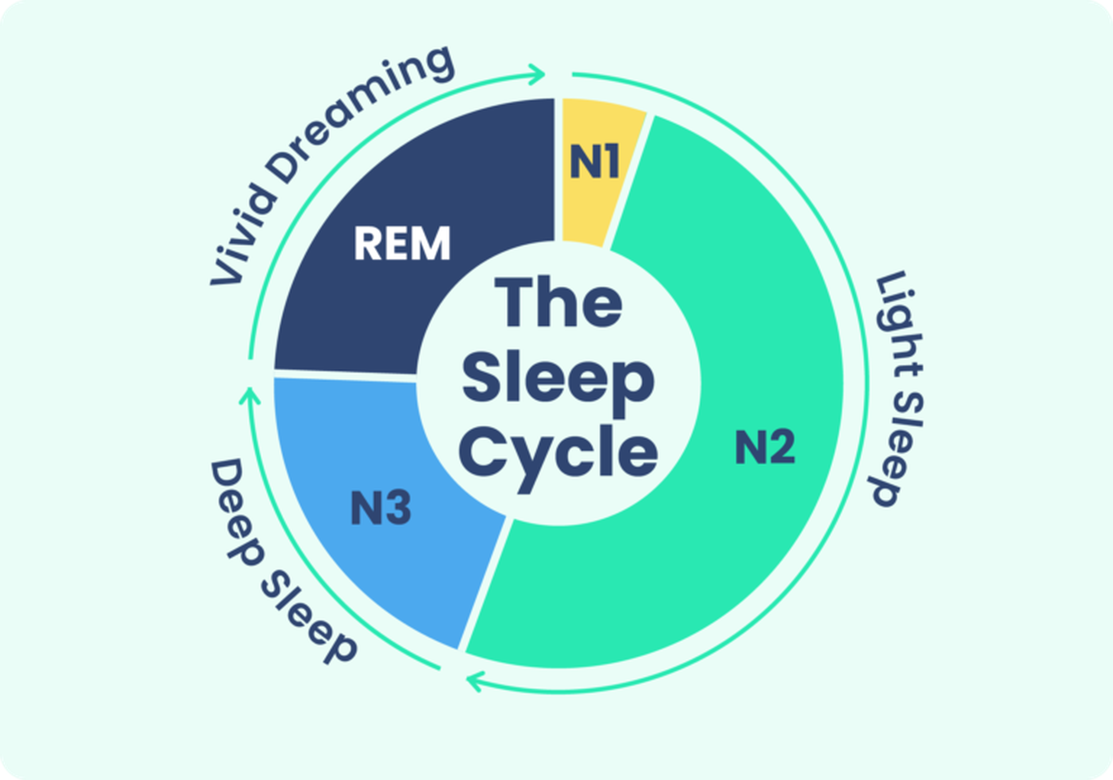 Gráfico de un ciclo de sueño normal que muestra el tiempo transcurrido en las fases N1, N2, N3 y REM del sueño.