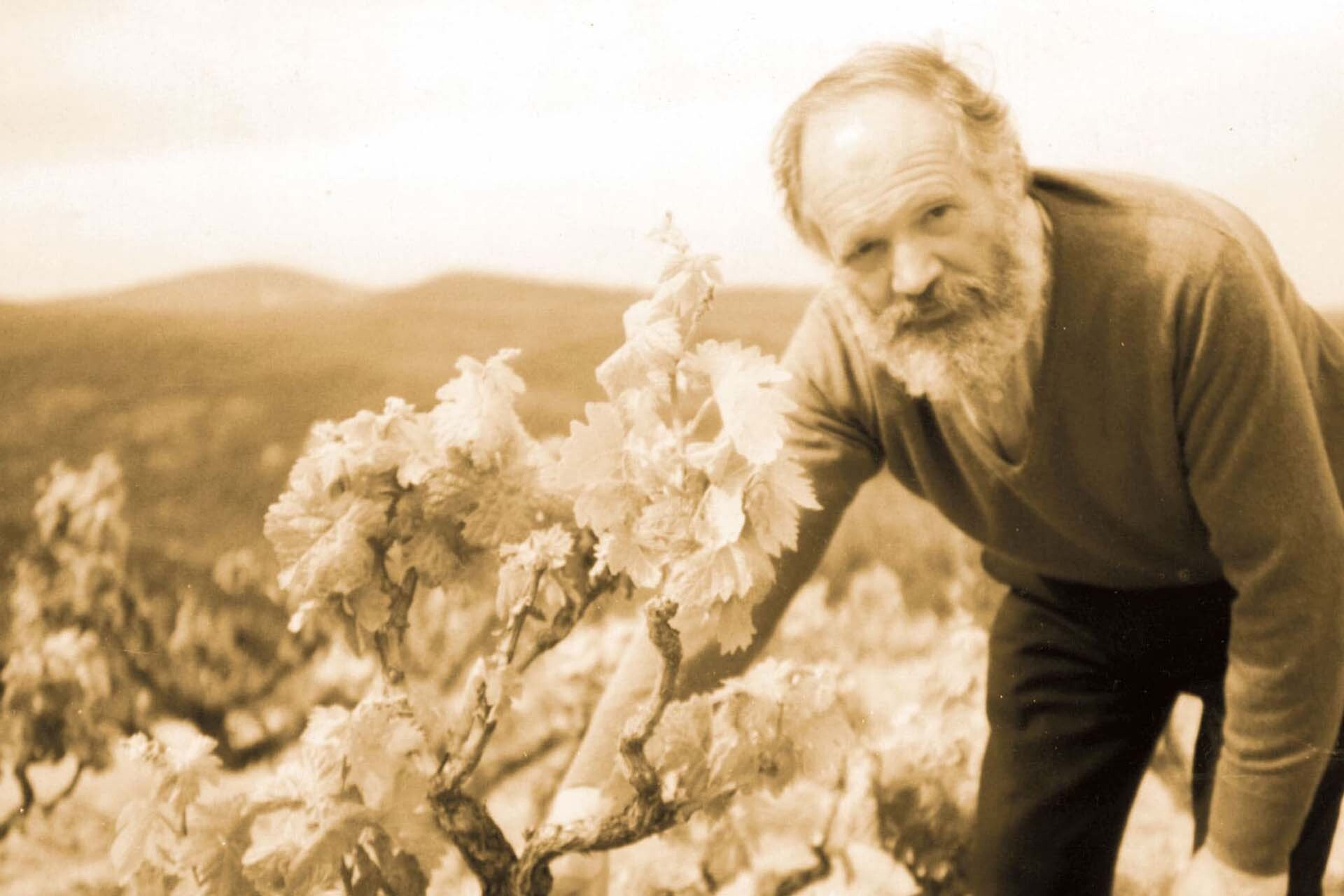 José Pariente, el verdadero impulsor de los vinos de esta bodega desde 1960.