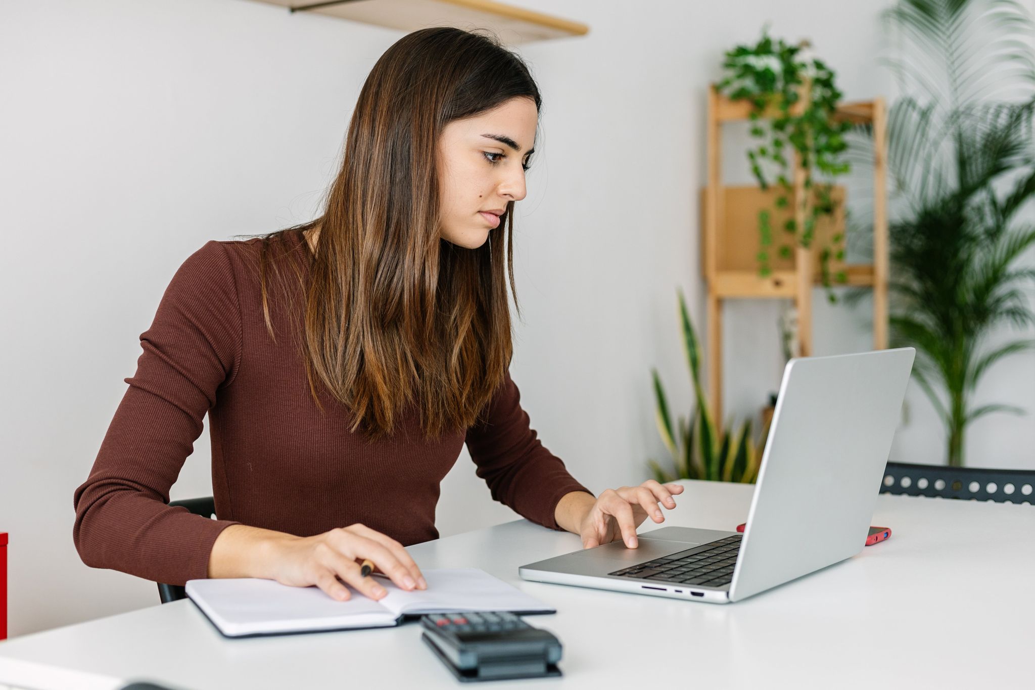 ¿Qué son las bases de cotización? Guía 2023 El Pensionista