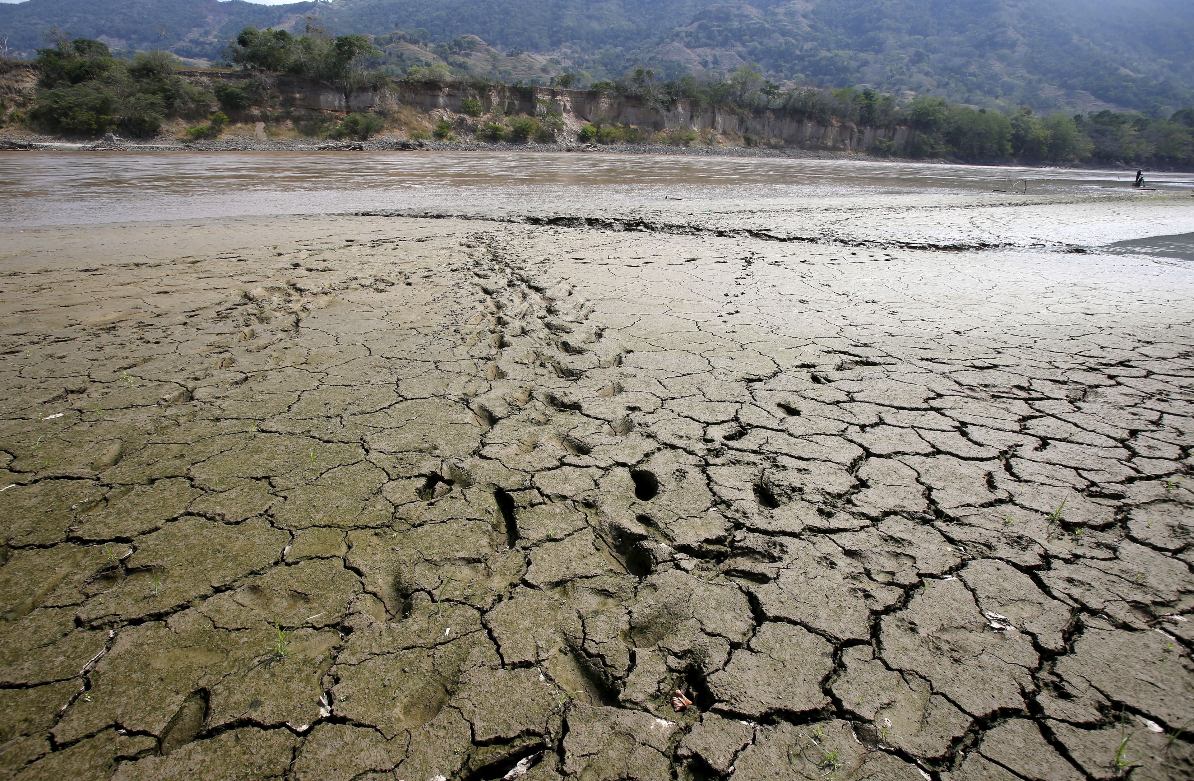 Una zona queda al descubierto en 2016 por la bajada del nivel de las aguas del río Magdalena, el más largo e importante de Colombia, debido a la falta de lluvias. Detrás, el fenómeno de El Niño.