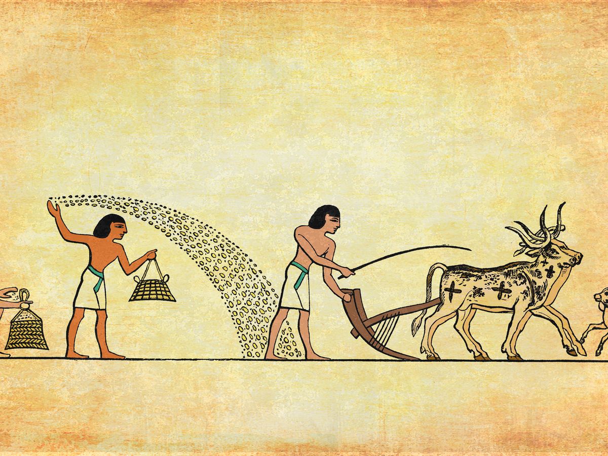 Cuáles son los mayores conceptos erróneos sobre los faraones