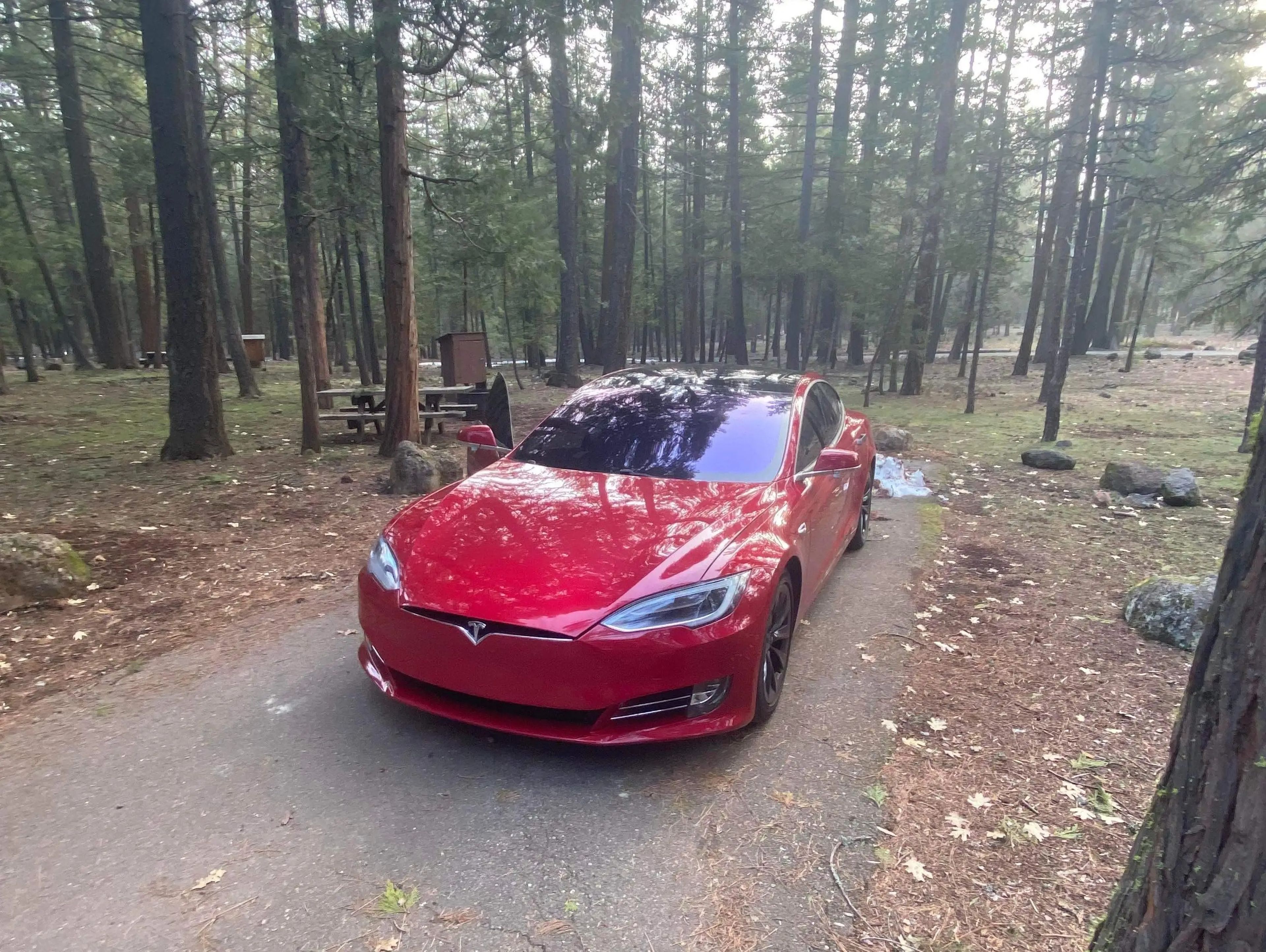 El Tesla de Ryan Shelton.