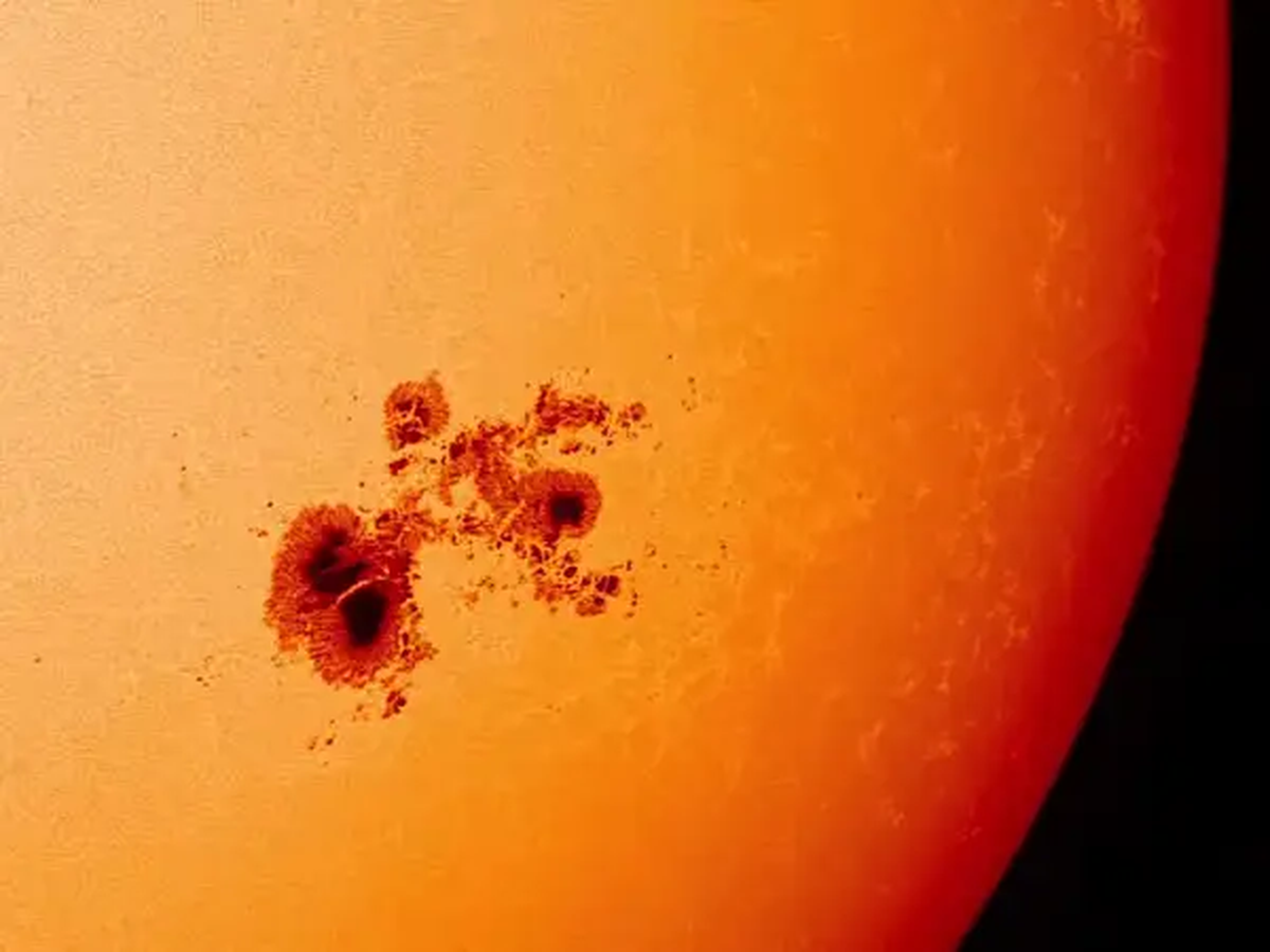 Las manchas solares son más frías que su entorno (motivo por el que se ven de ese color).