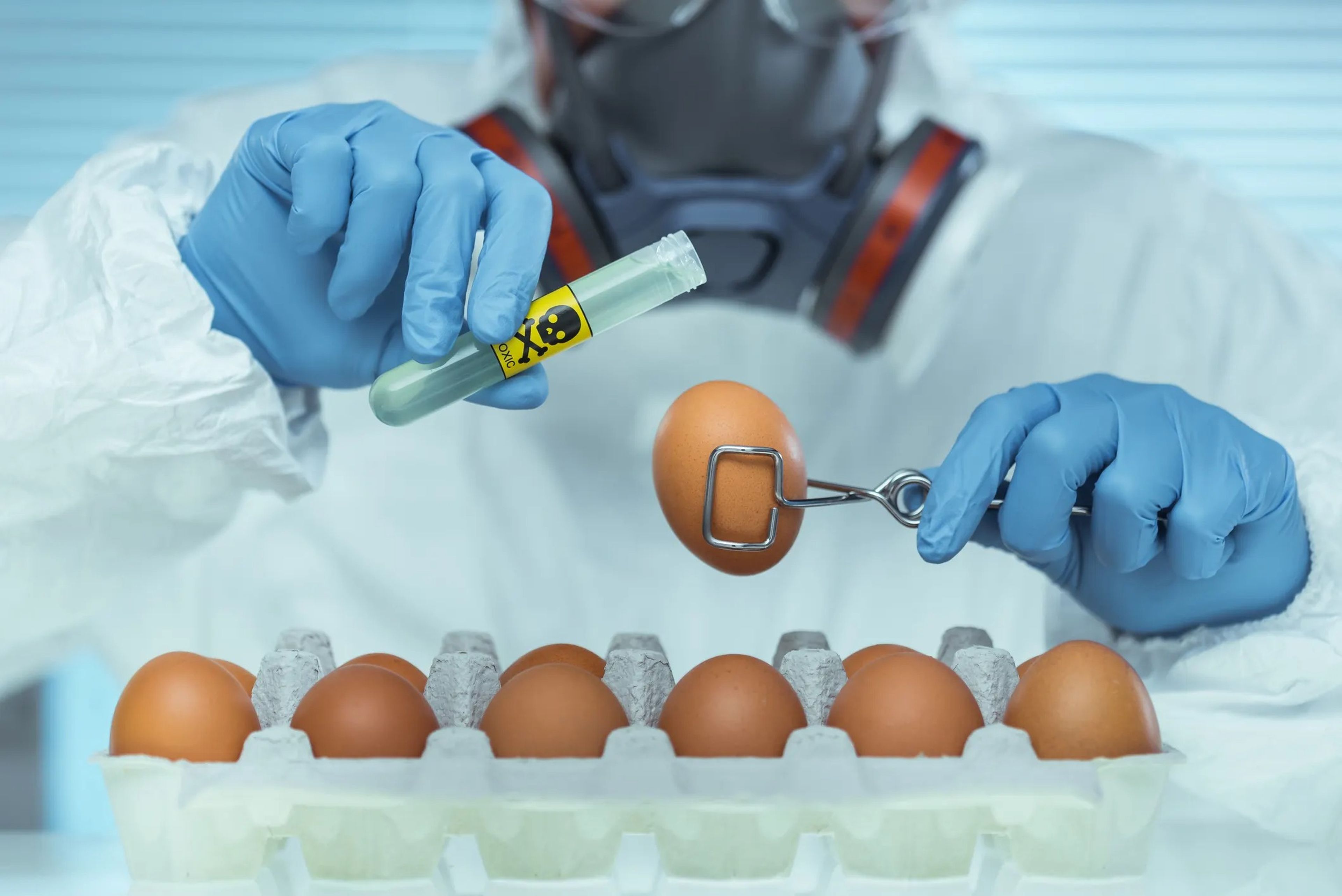 La radiación en los huevos frescos puede detectarse hasta 5 meses después de una catástrofe nuclear.