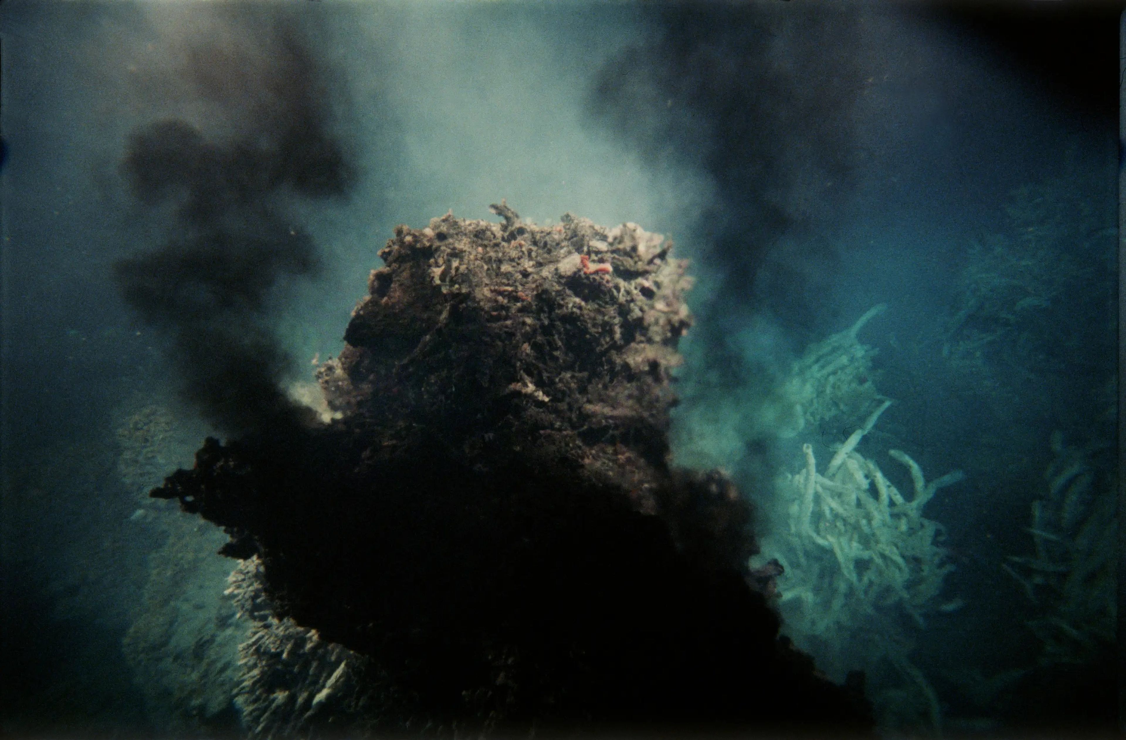 Los volcanes submarinos son un paraíso para la vida en las profundidades marinas.
