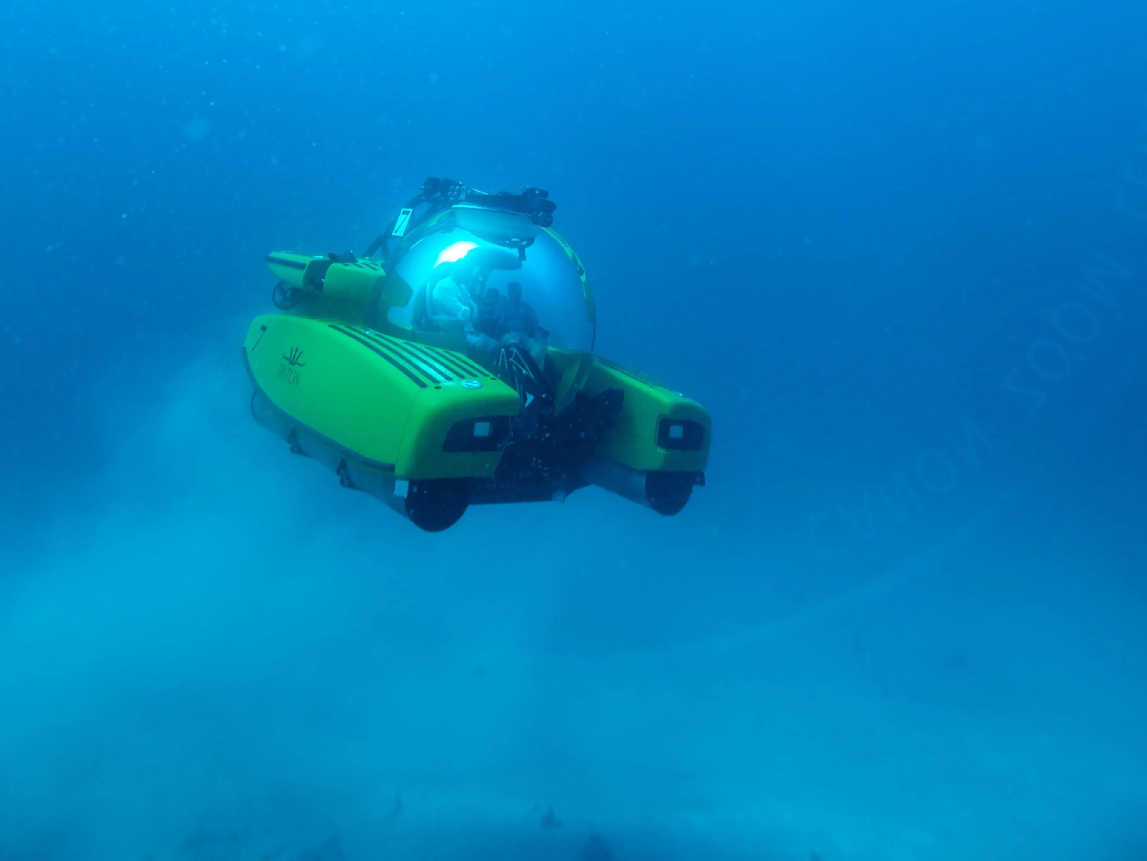 A Triton Submersible exploring the ocean.