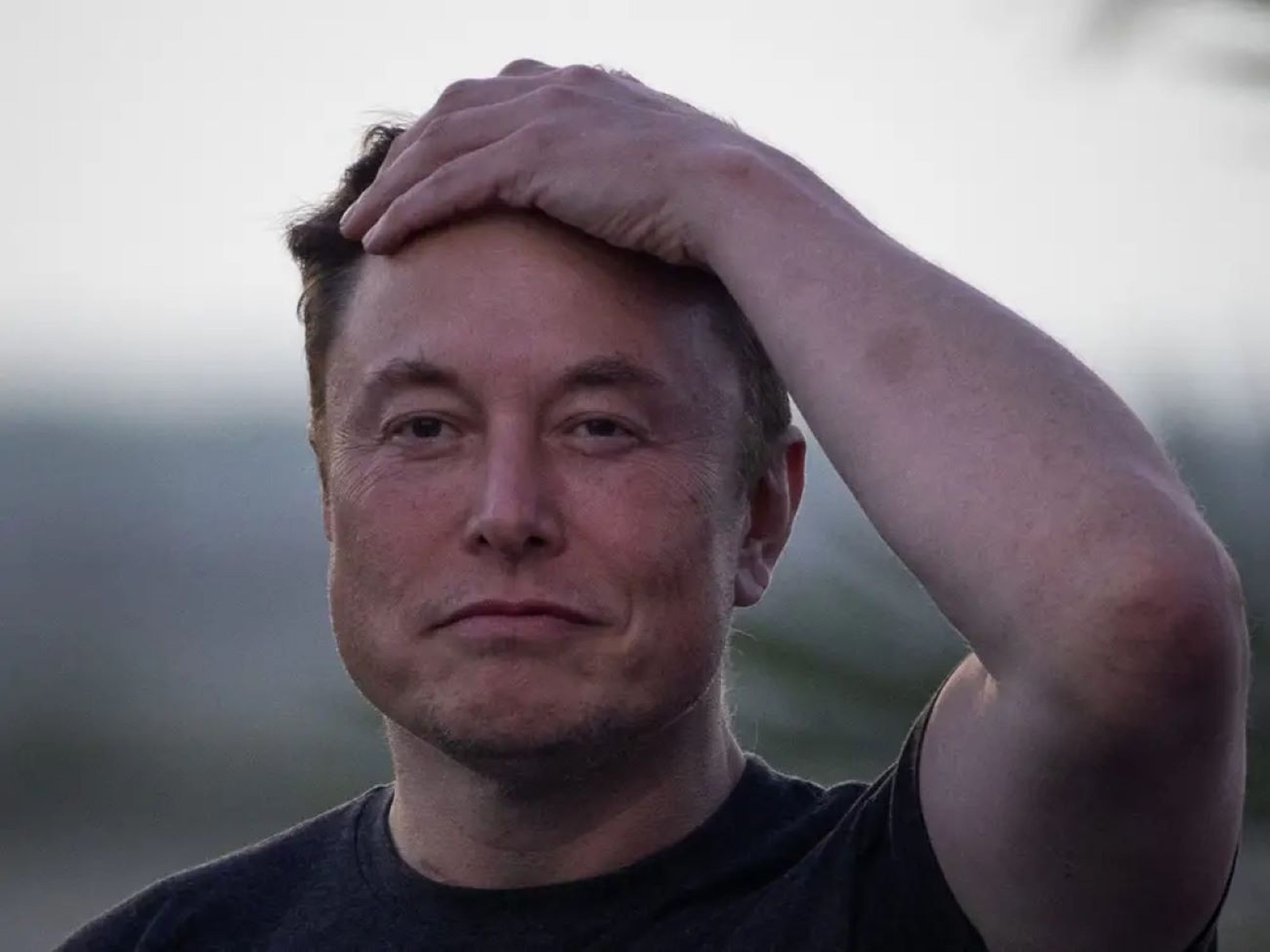 Elon Musk, confuso