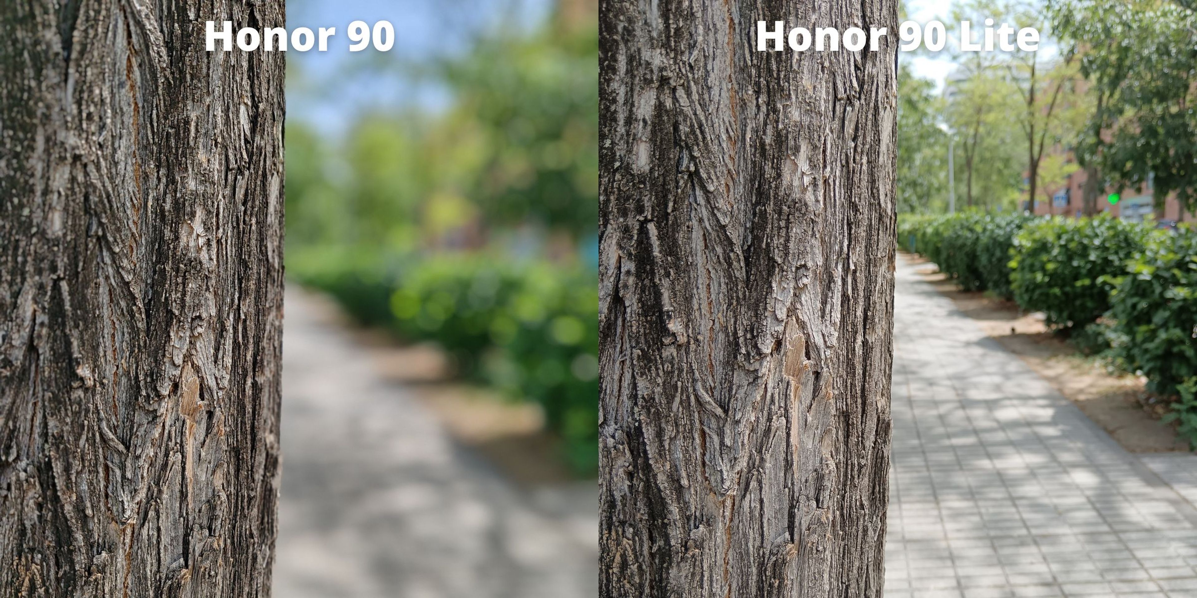 Honor 90 vs Honor 90 Lite