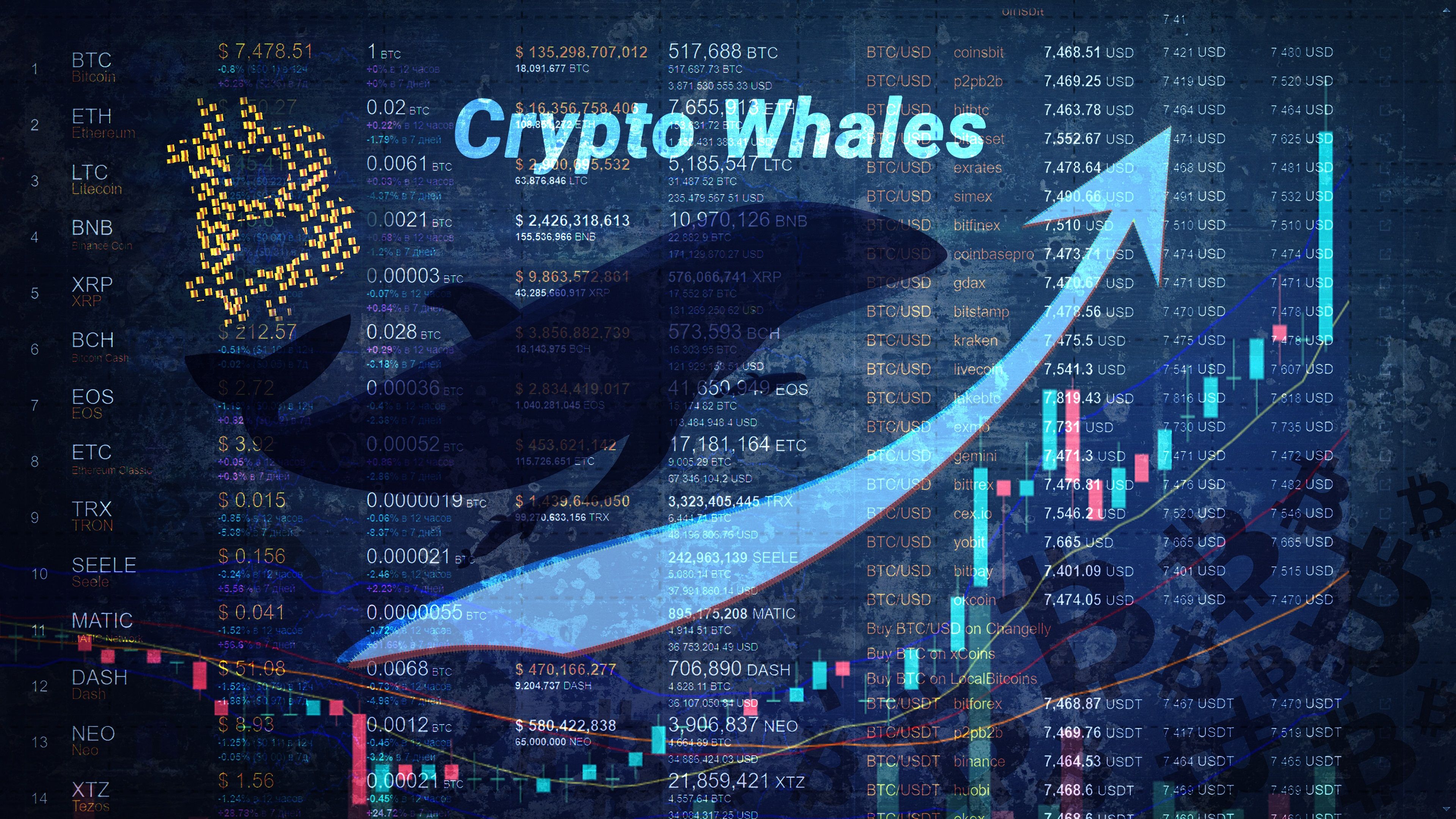 Ilustración con una ballena de bitcoin.
