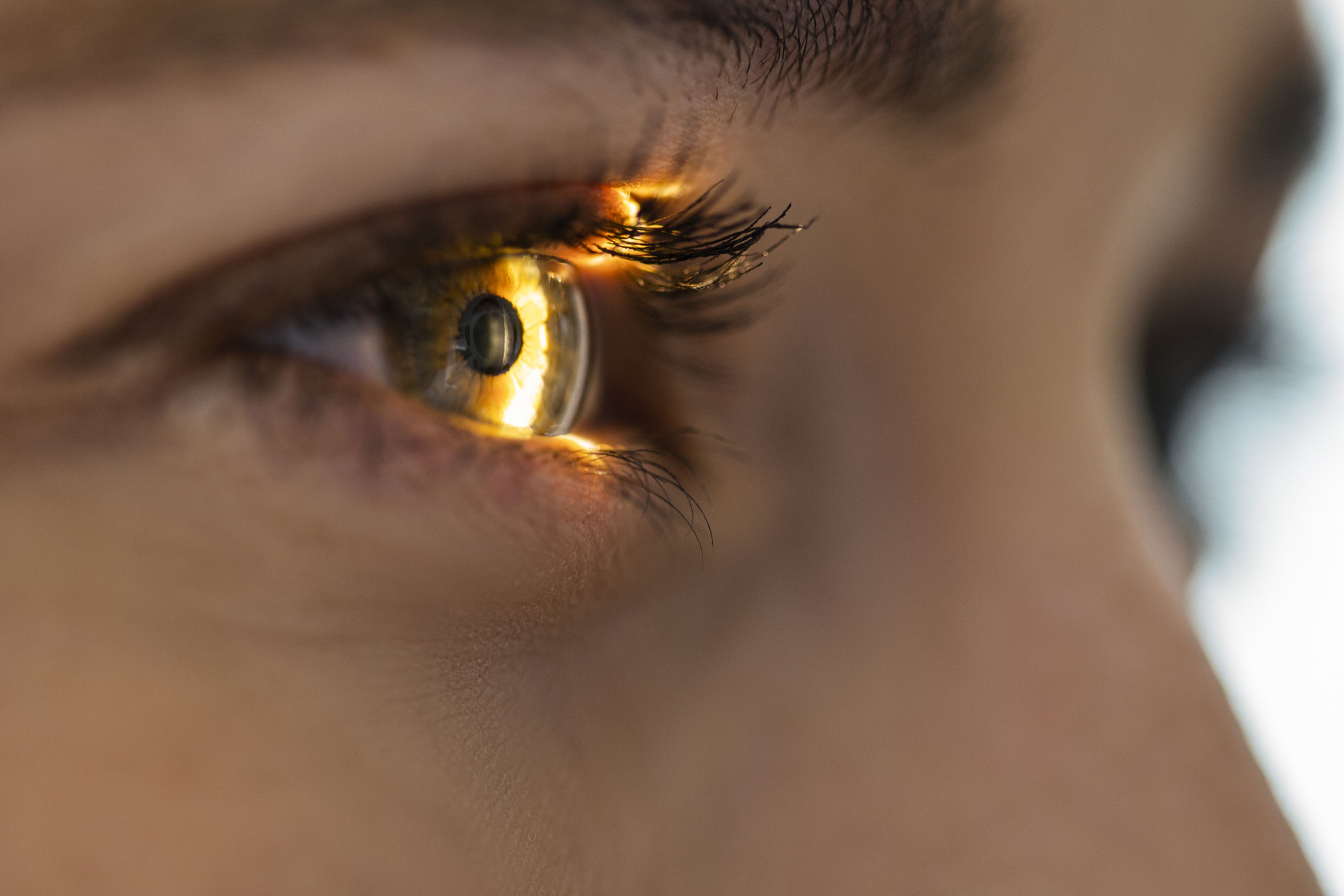 La luz brilla en la pupila del ojo de una persona. 