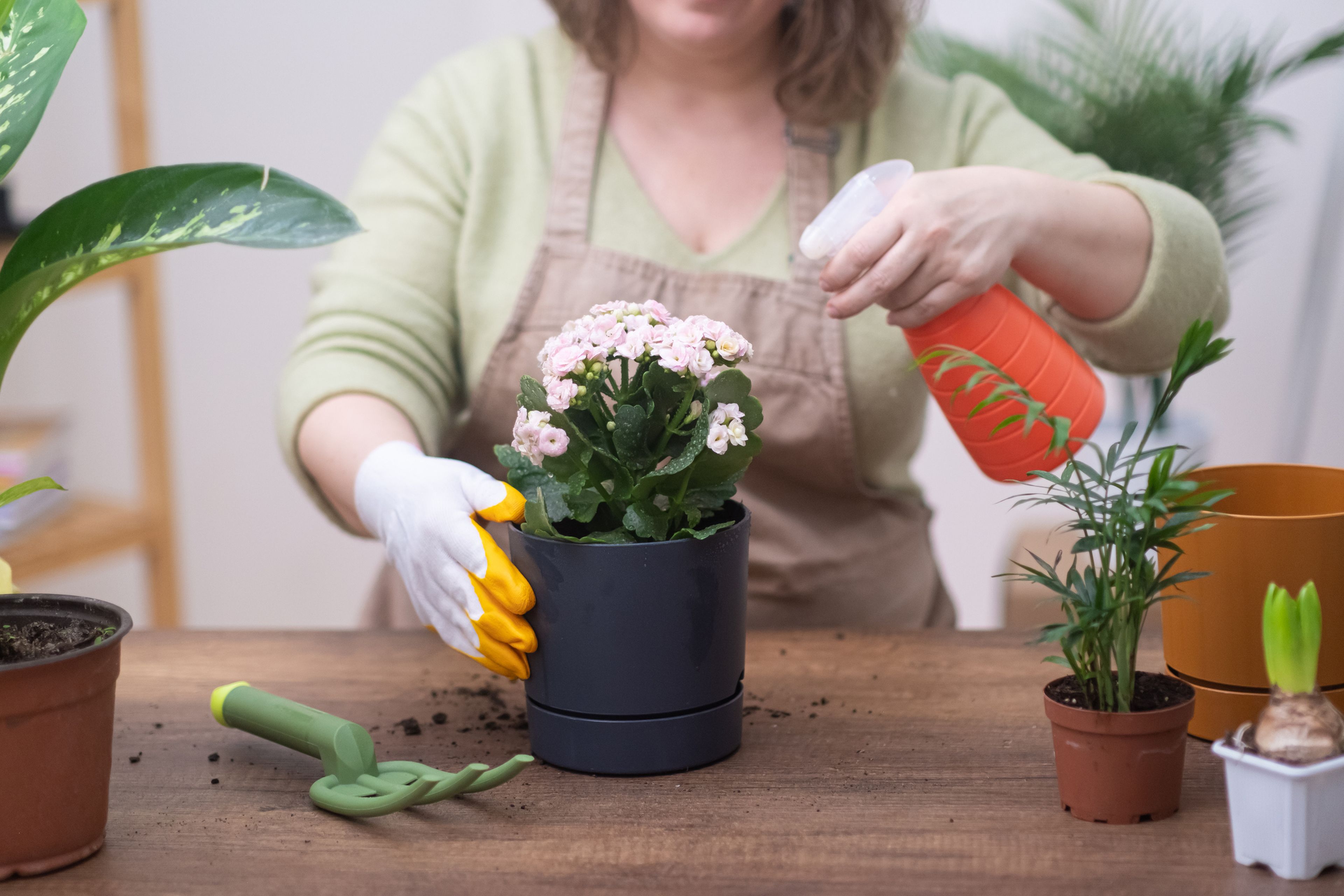 Mujer regando sus plantas con pulverizador