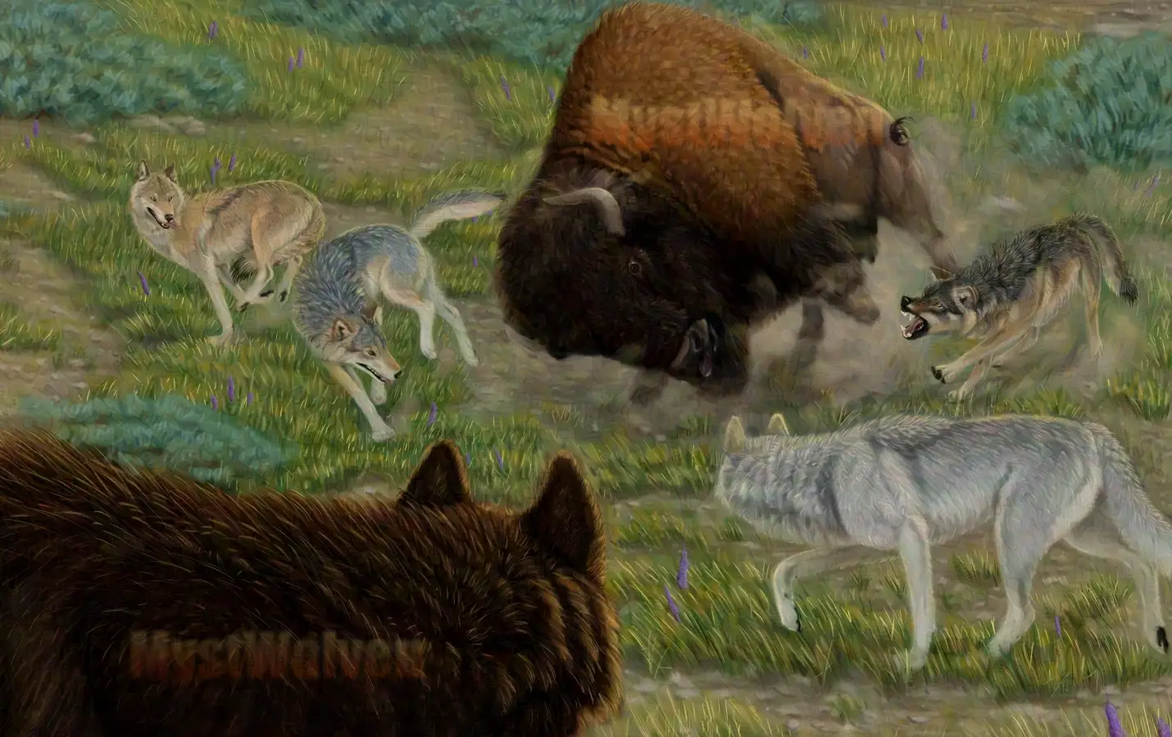 Una versión renderizada con Gaze de una escena con bisontes y lobos de Autumn Beverly.