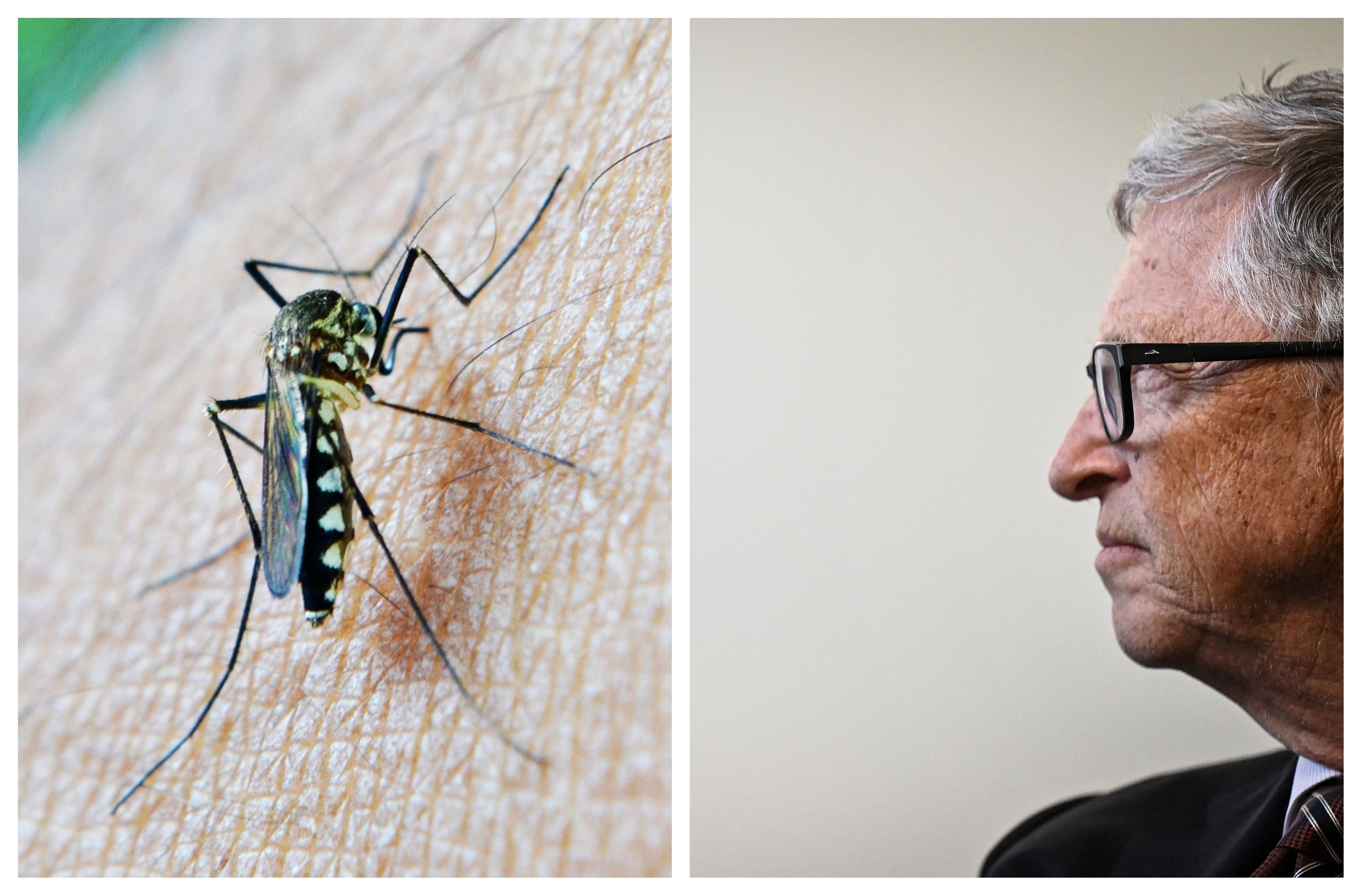 Bill Gates invento para los mosquitos