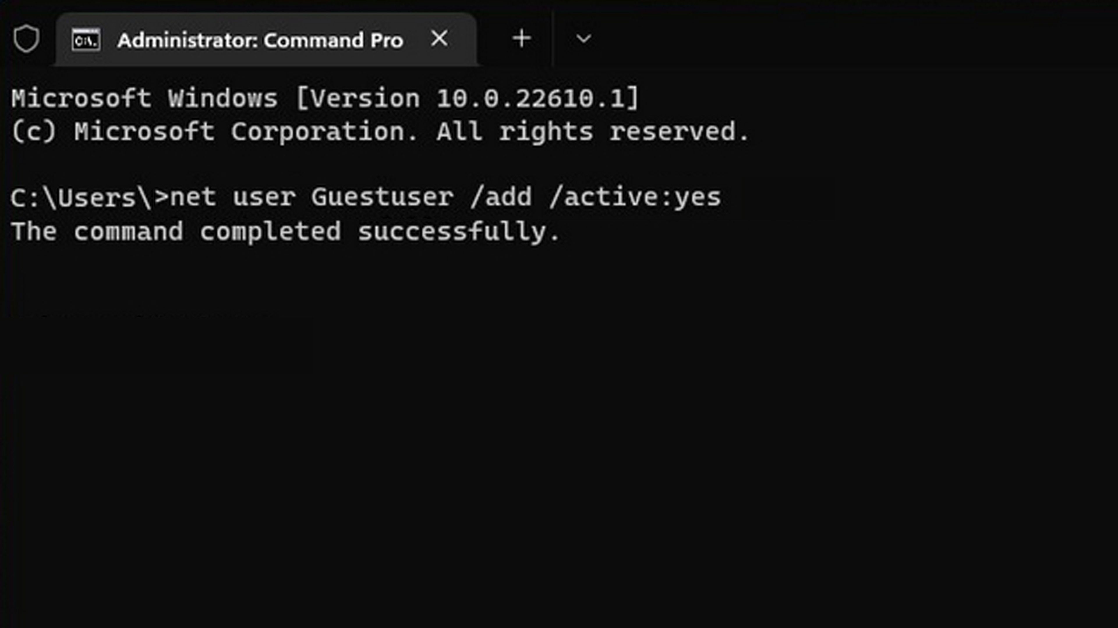 Guest account in Windows 11 with command prompt
