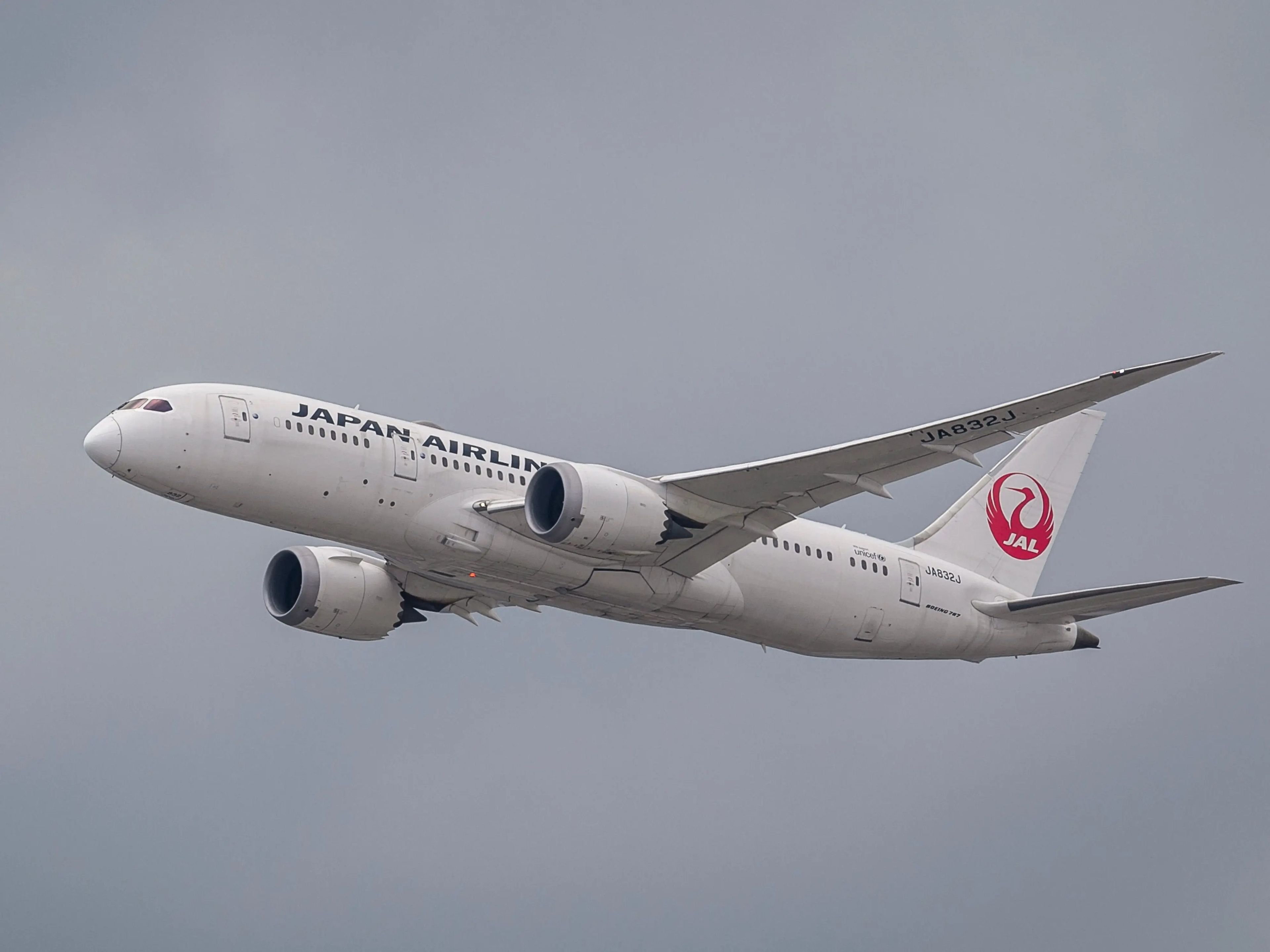 Un Boeing 787-8 Dreamliner de Japan Airlines.