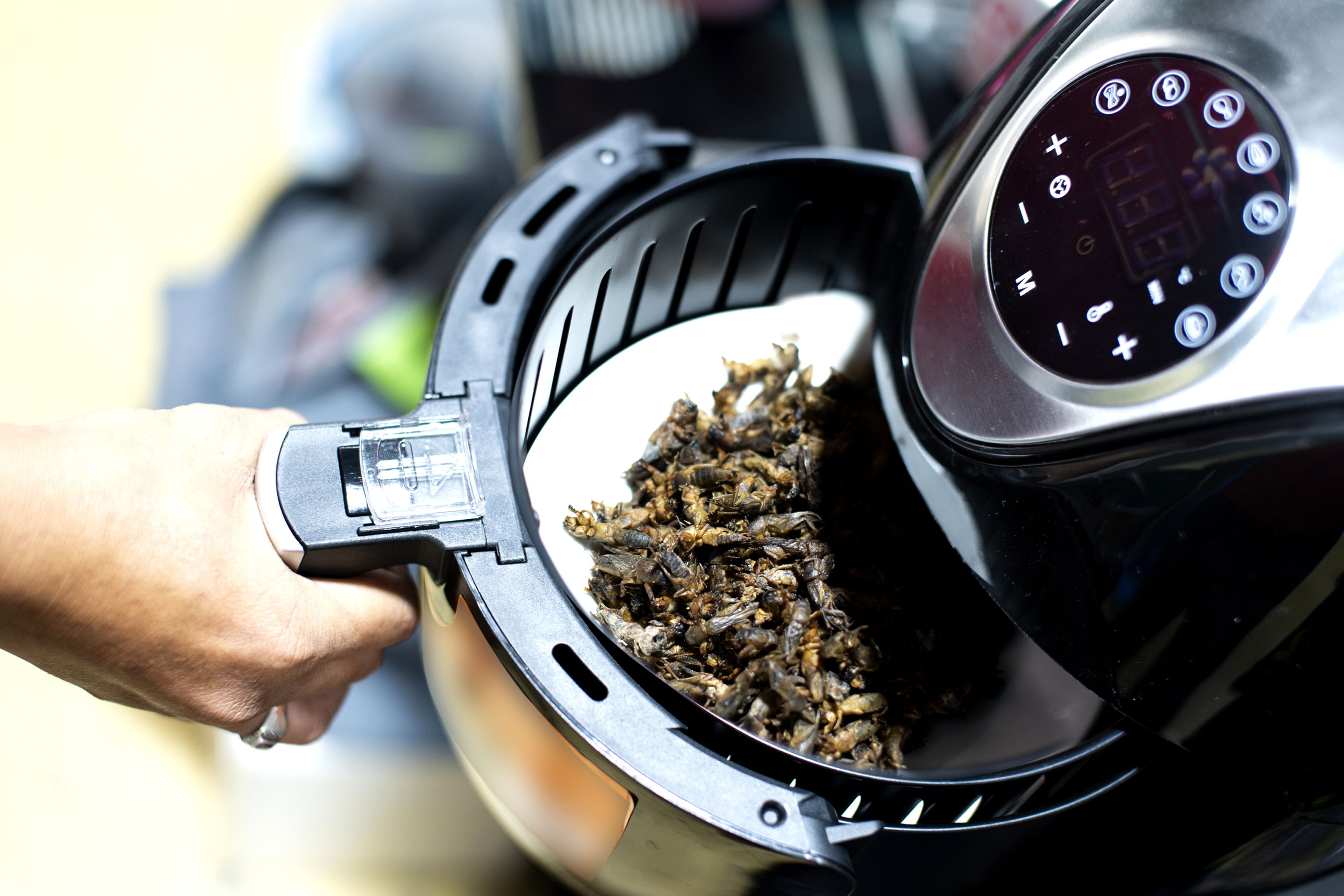 Metiendo comida en una airfryer