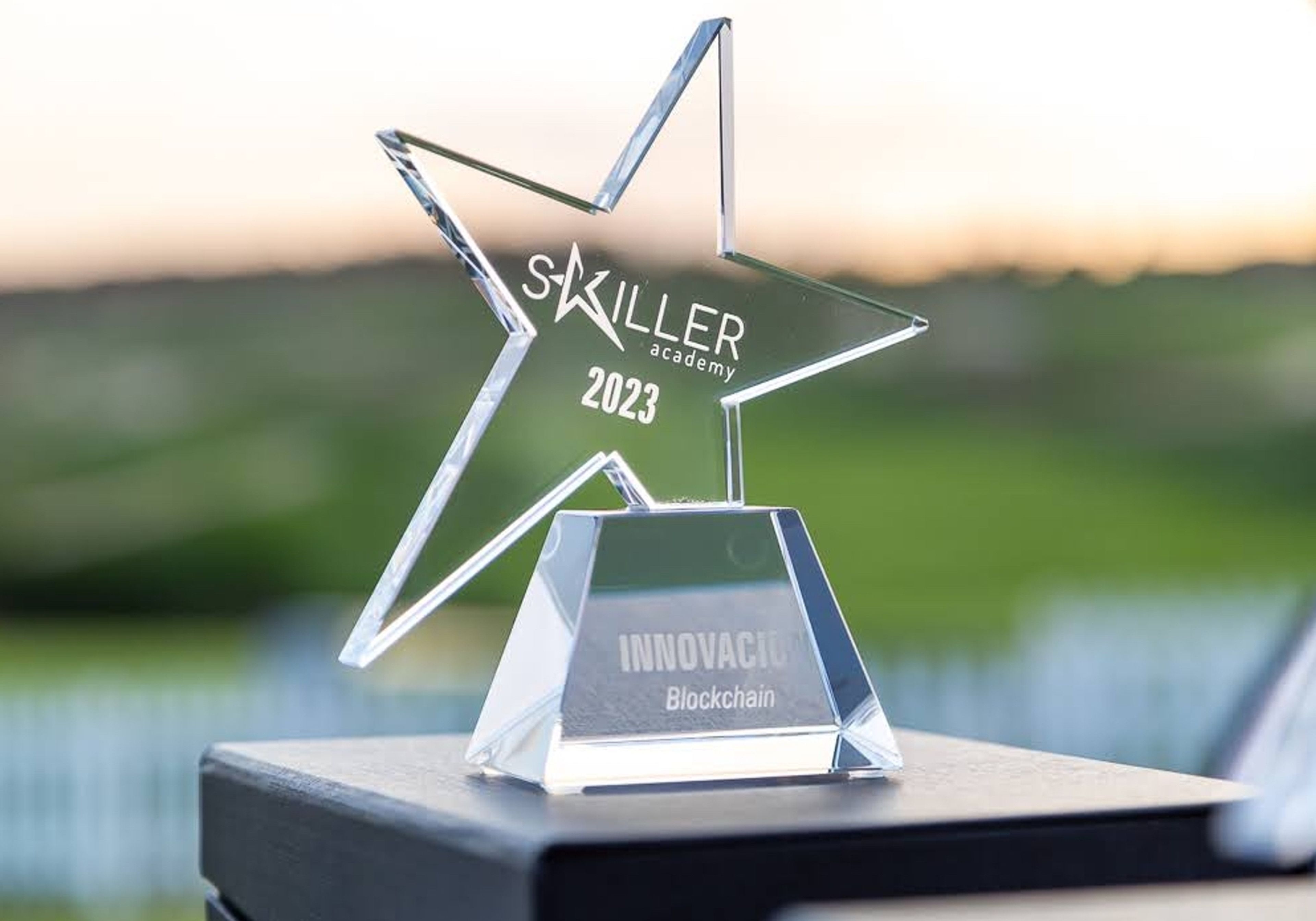 Los ganadores de los Skills Awards de tecnología y publicidad programática de Skiller Academy,
