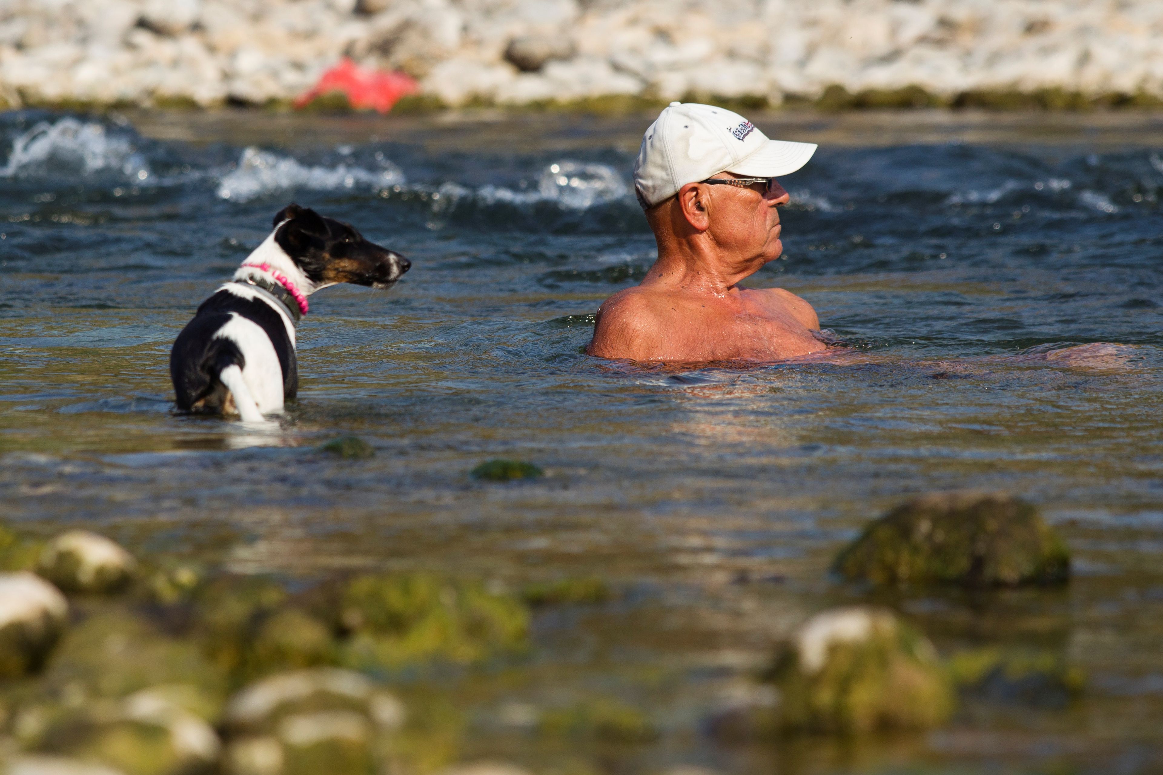 Un hombre se refresca con un perro en el río Moraca en Podgorica mientras una ola de calor azota Montenegro en 2017.