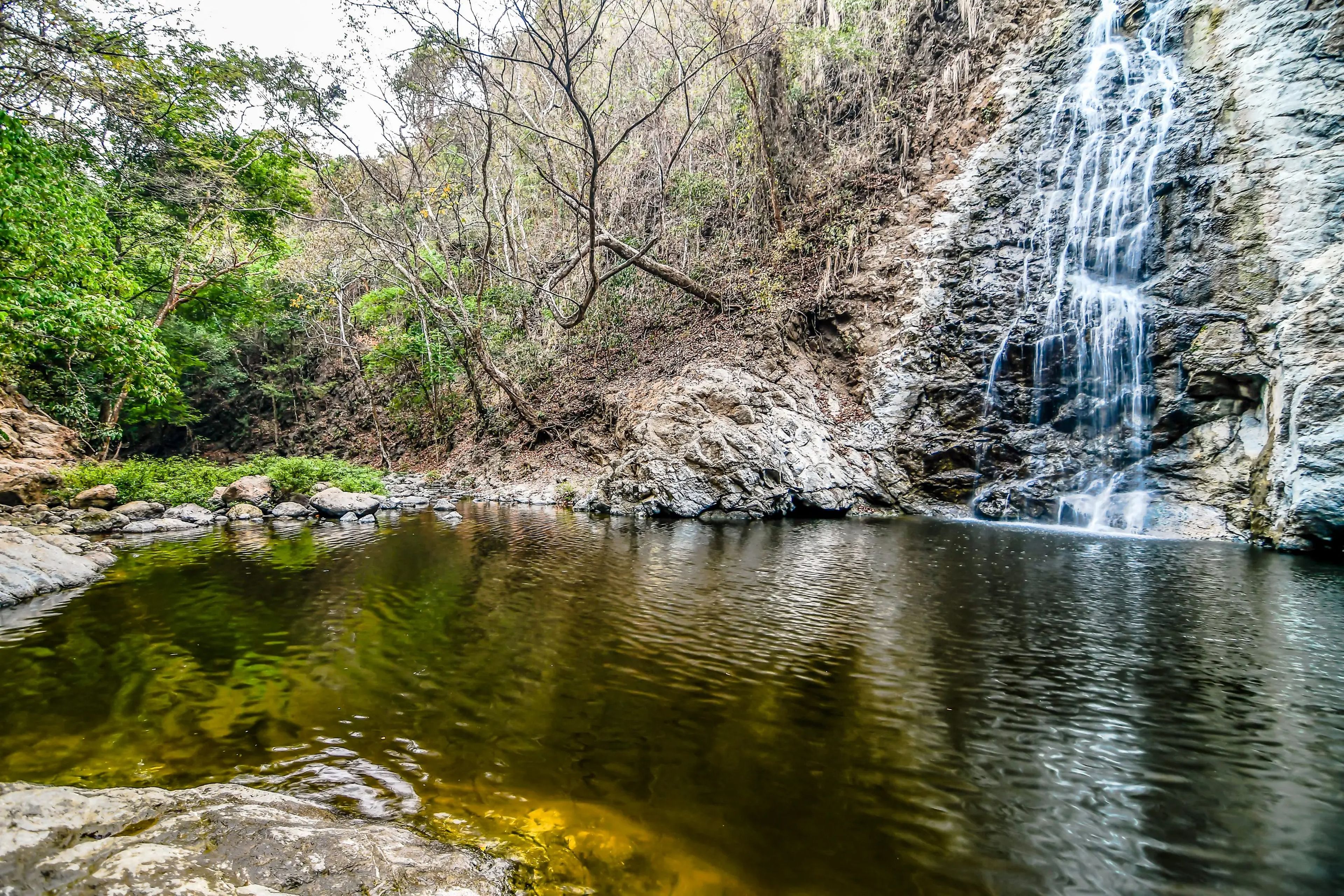 Una cascada en Nicoya, donde el agua es particularmente rica en calcio.