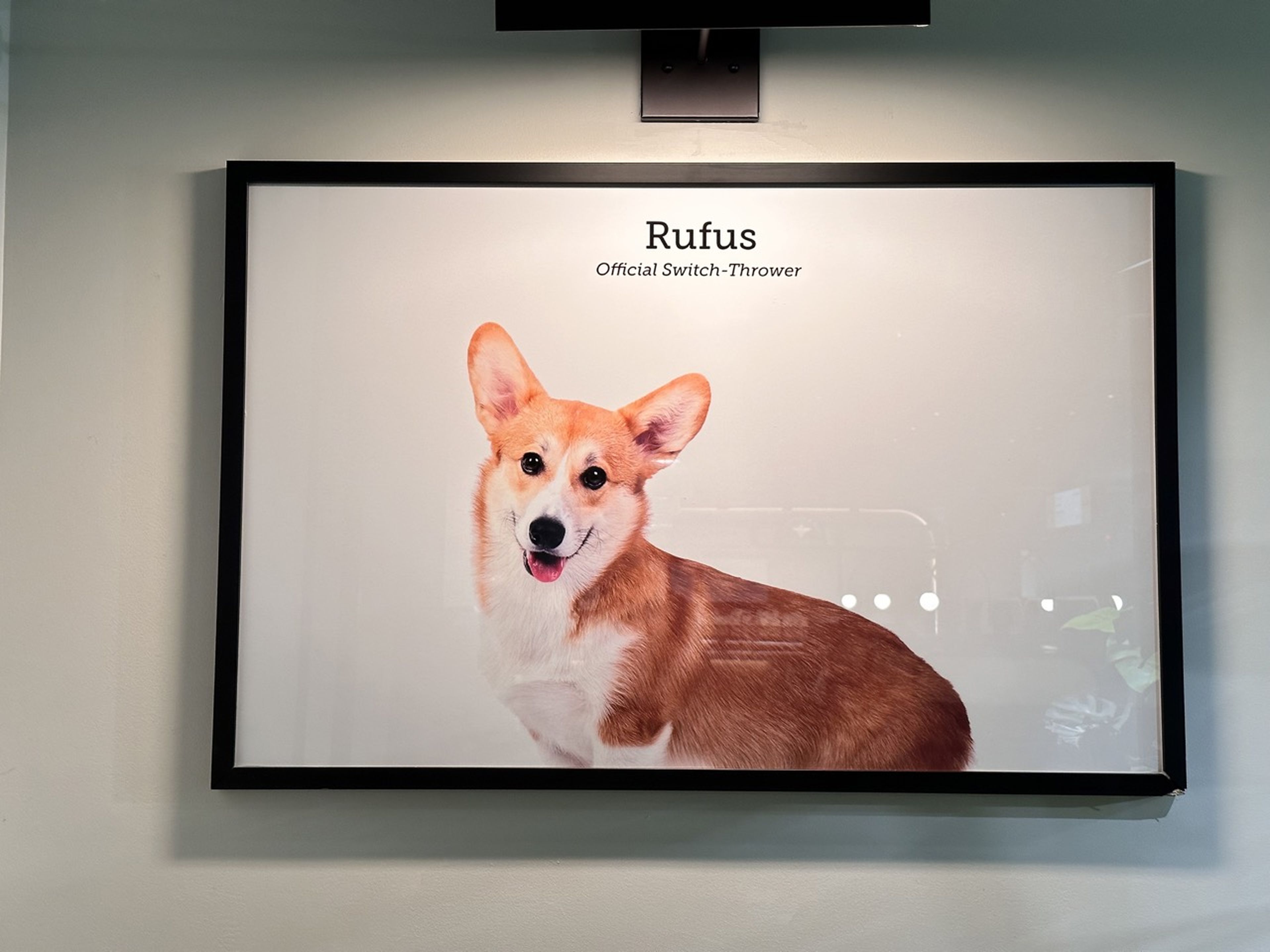 El famoso Rufus, el primer perro de Jeff Bezos.
