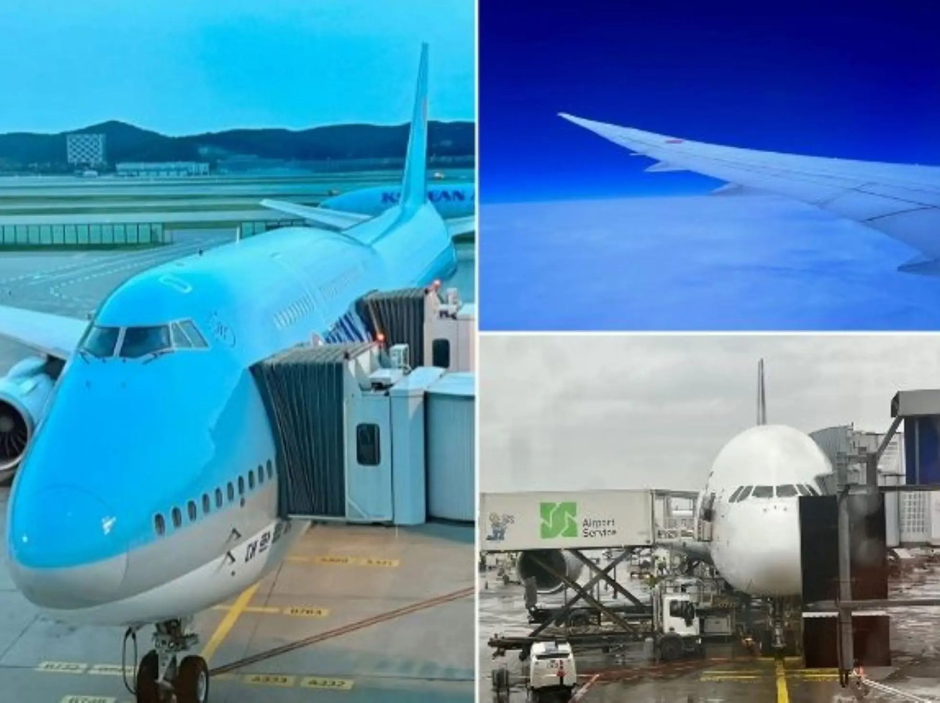Mi clasificación de los tres, por orden: Singapore Airlines (abajo), ANA (arriba) y Korean Air (izquierda).