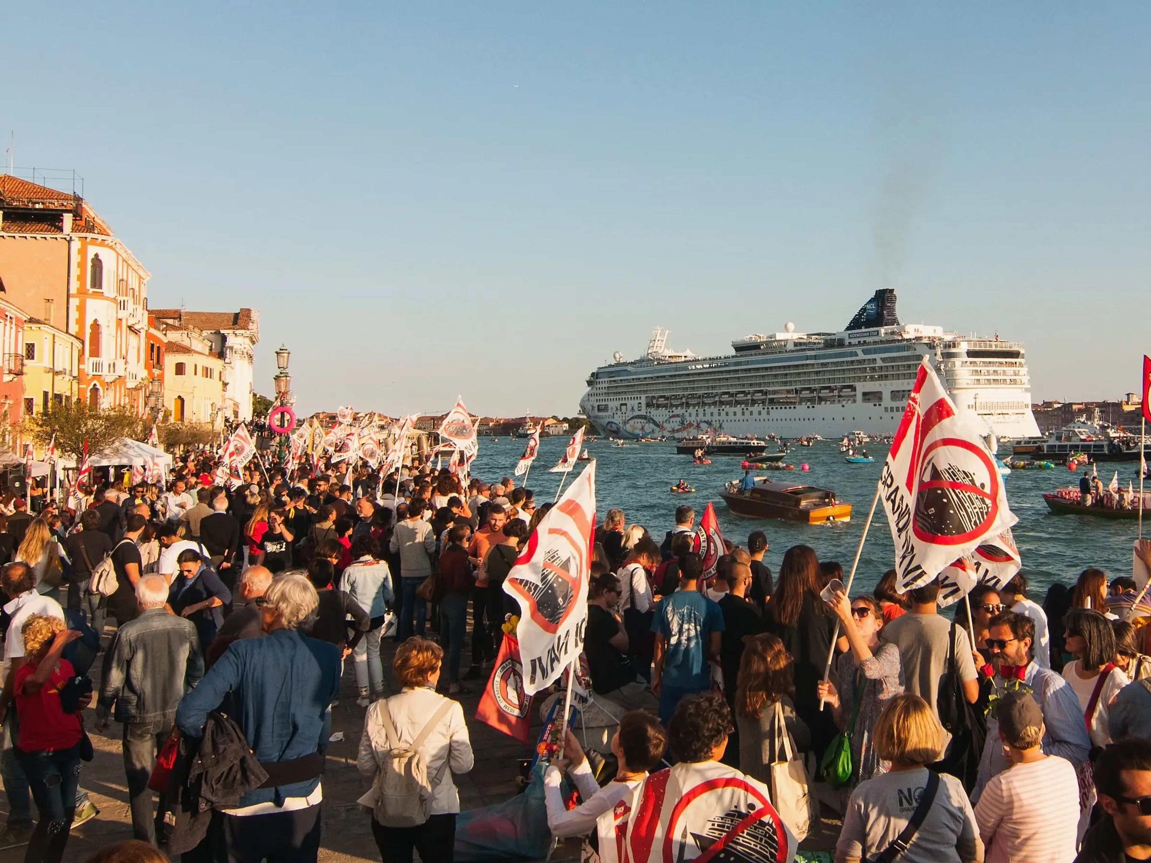 A group of protestors standing on the coastline and in small boats waving flags at a cruise ship.