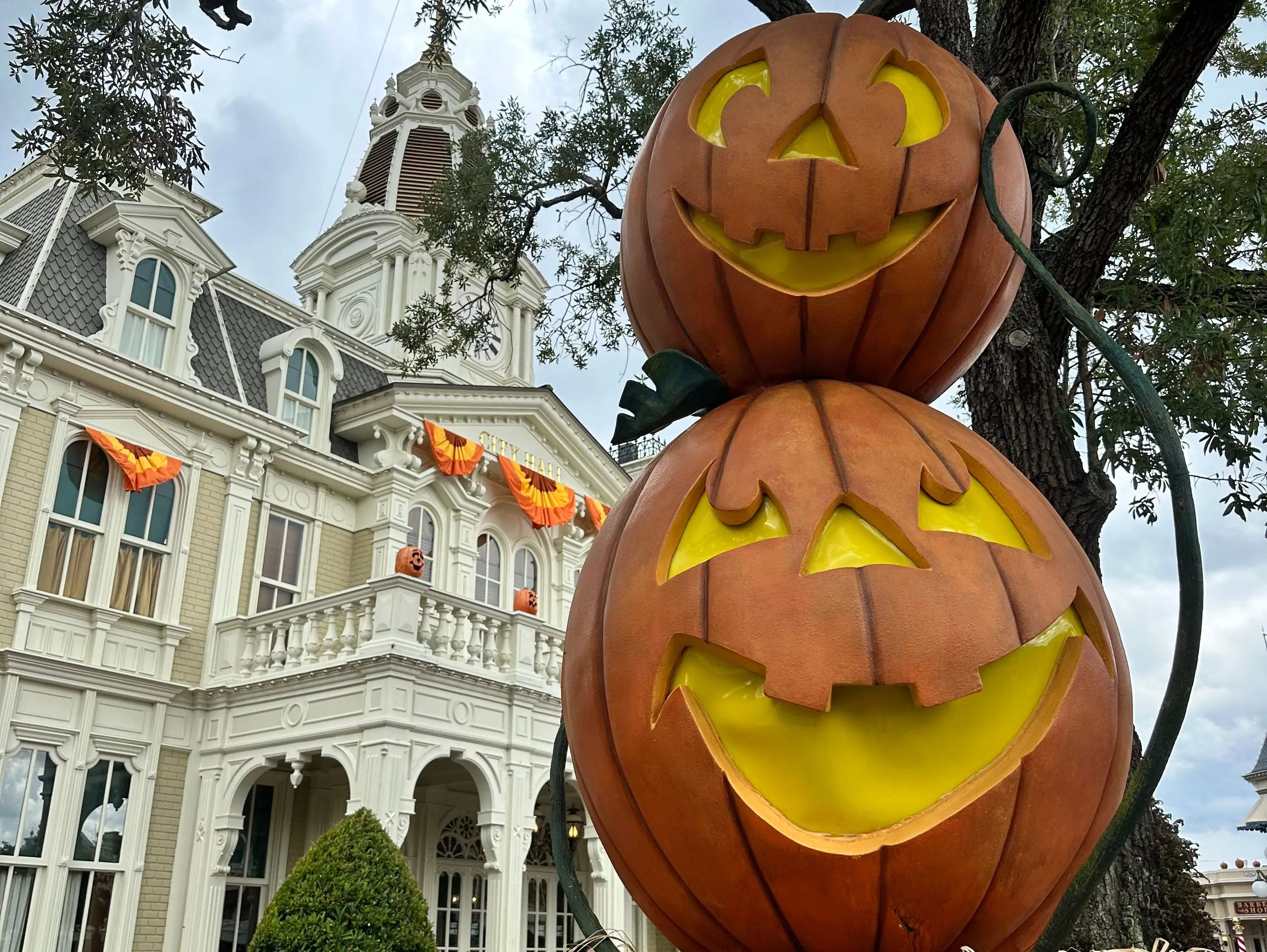 Pumpkins at Disney World.