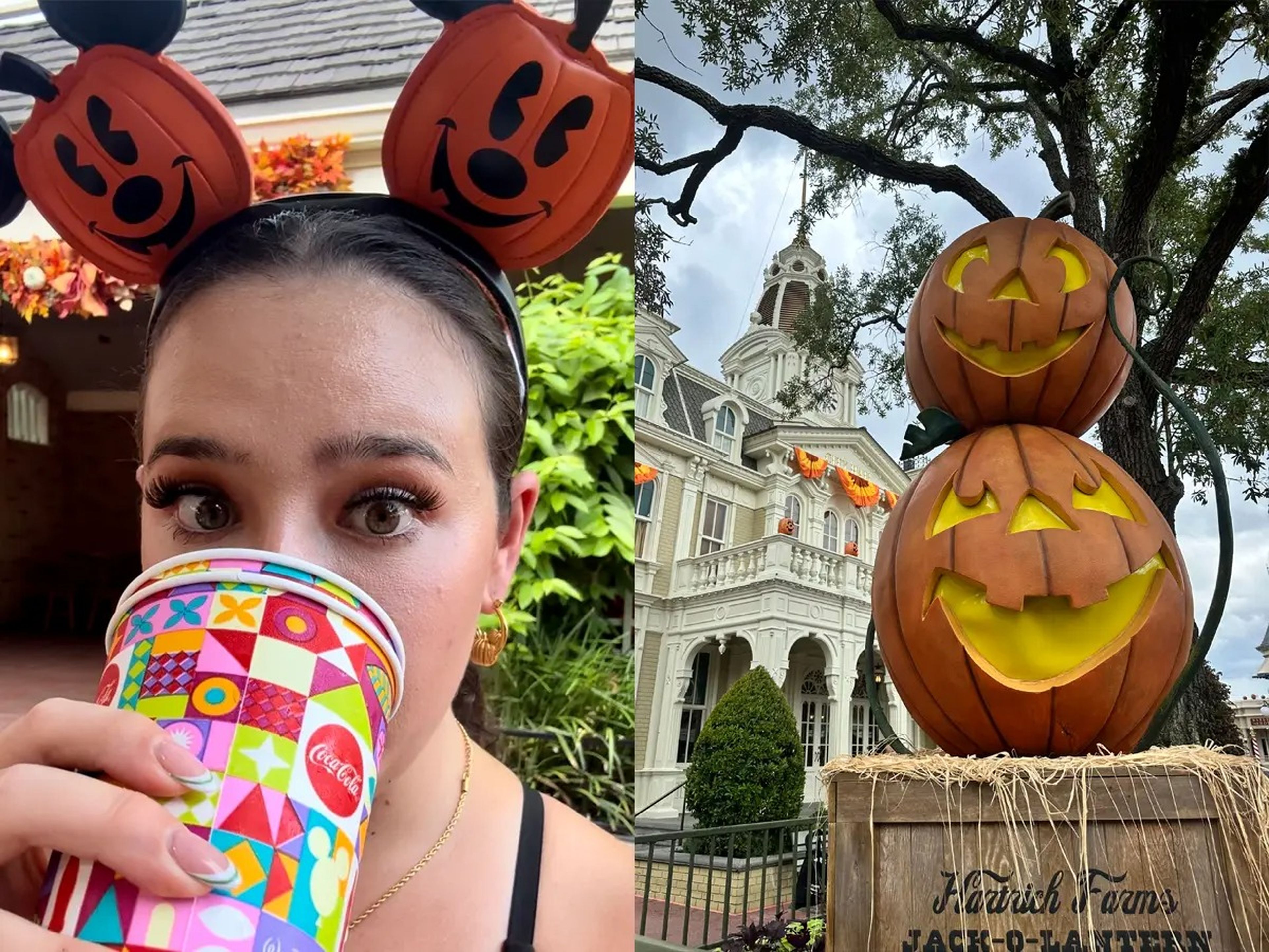 Split of Josephine Maida drinking water and pumpkins at Disney World.