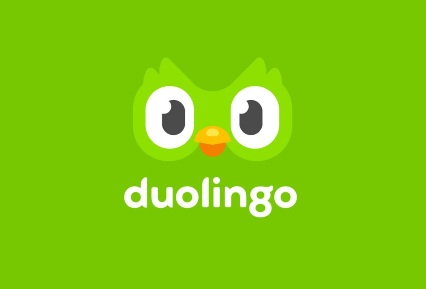 ¿Se Puede Aprender Un Idioma De Verdad Con Duolingo?