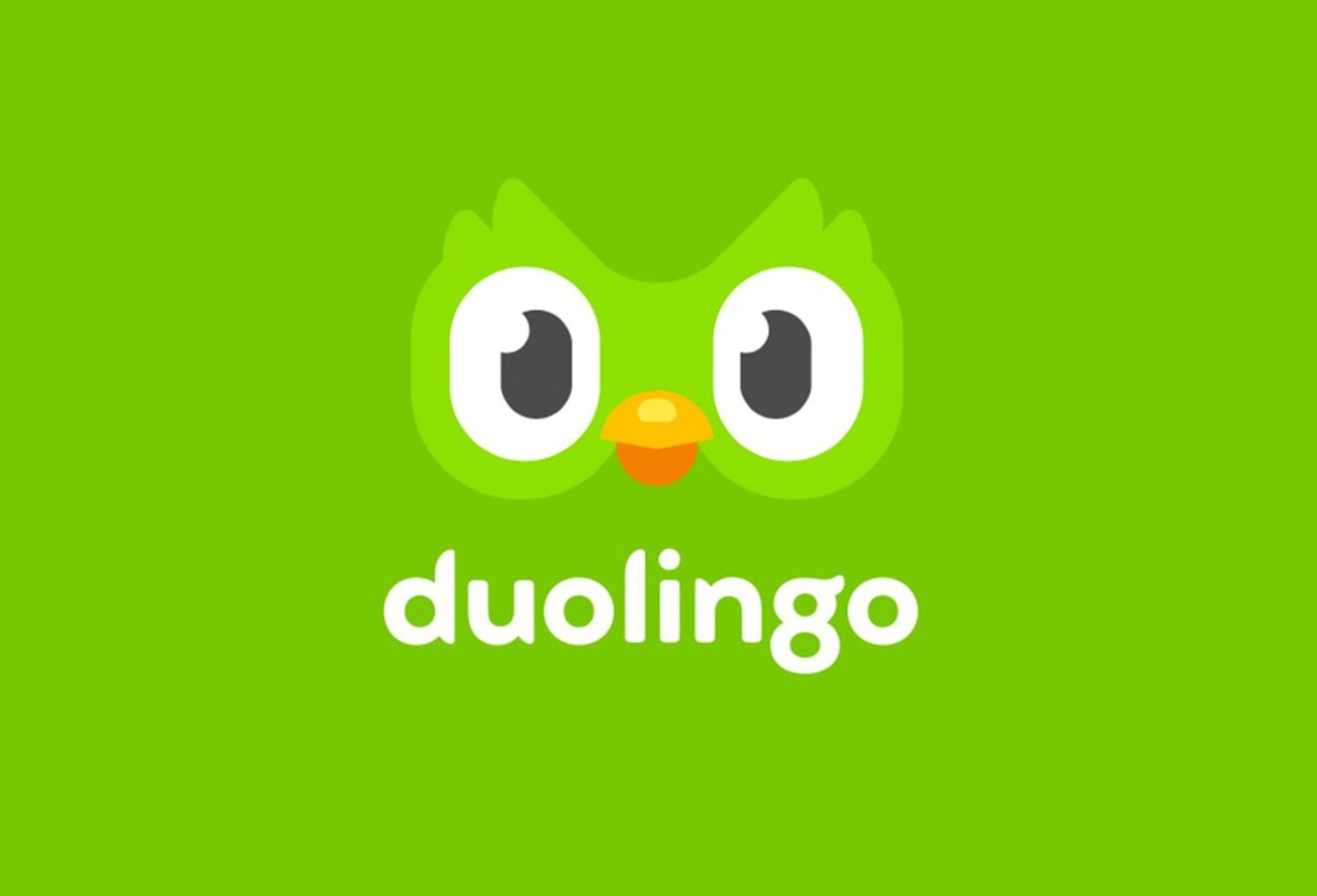 Se puede aprender un idioma de verdad con Duolingo? | Business Insider España