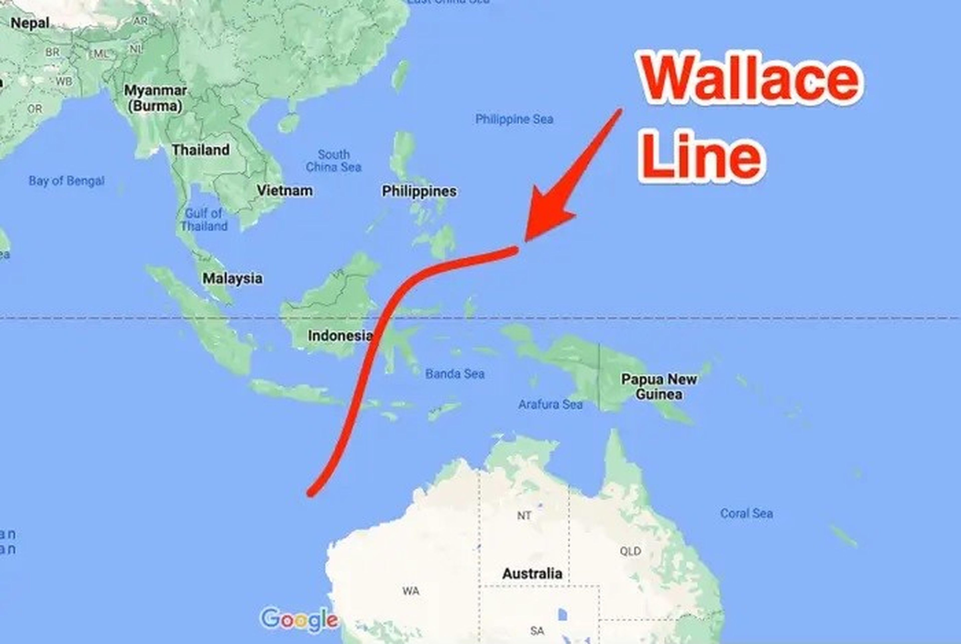 Mapa que muestra la ubicación aproximada de la línea Wallace.