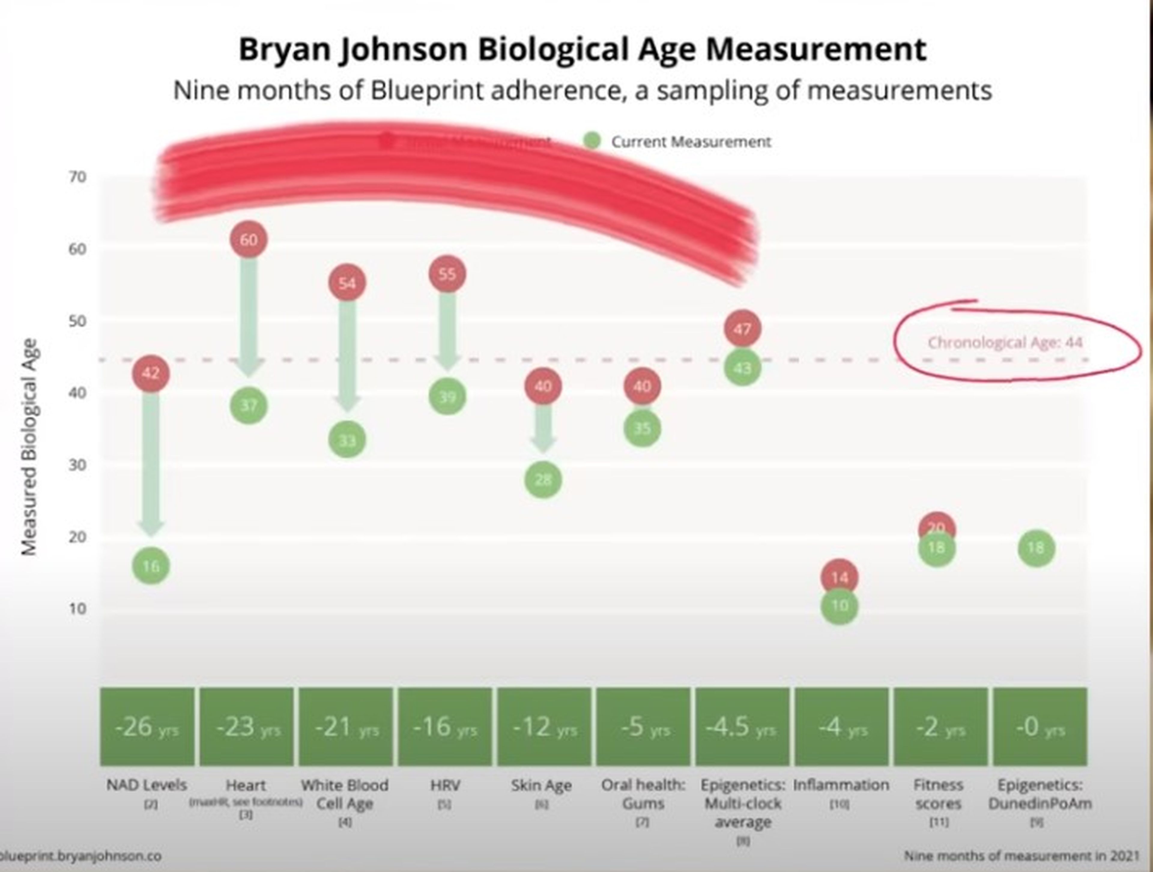 Los marcadores de mejora de Bryan Johnson