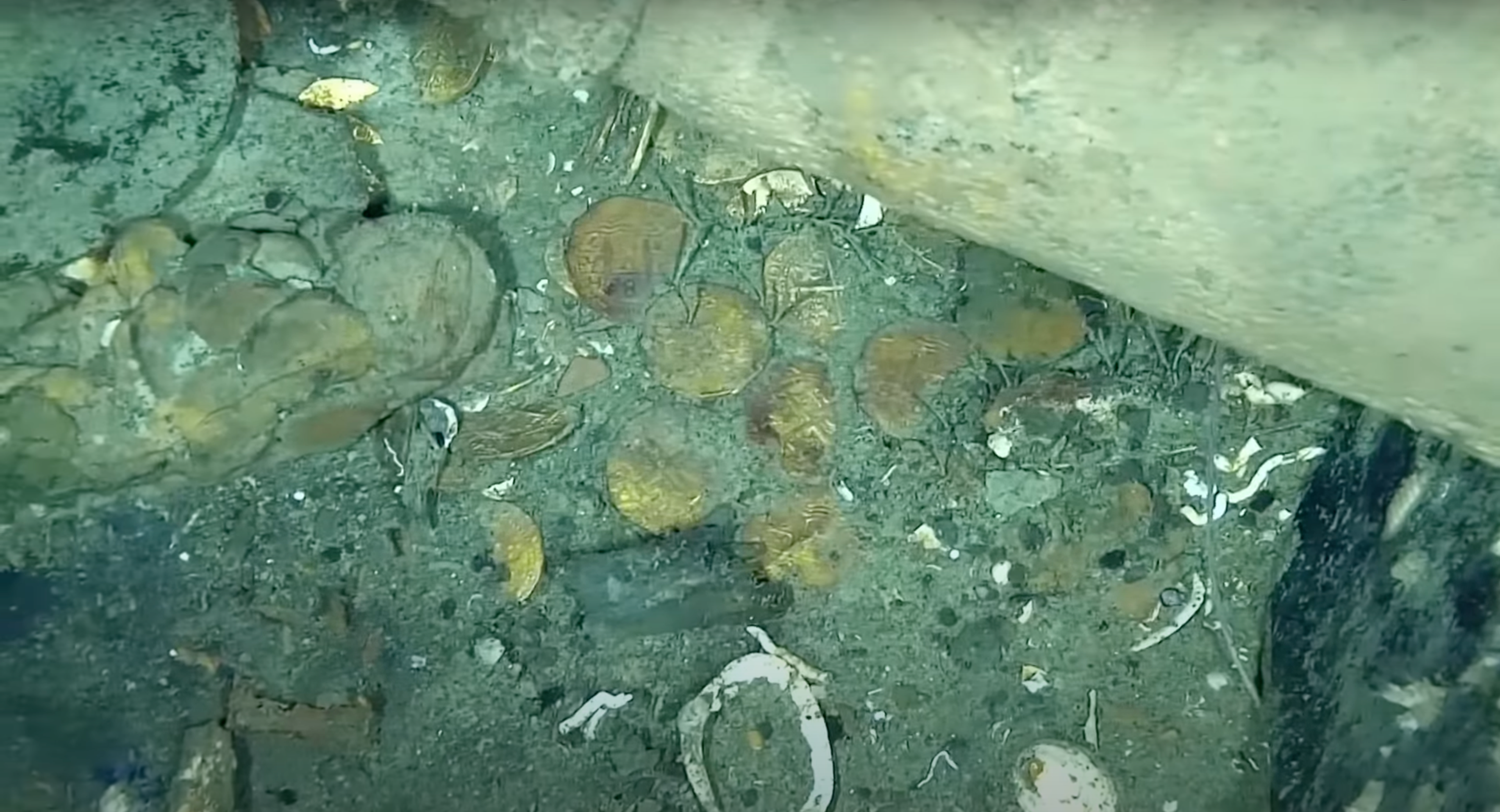 Monedas de oro halladas en el buque San José.