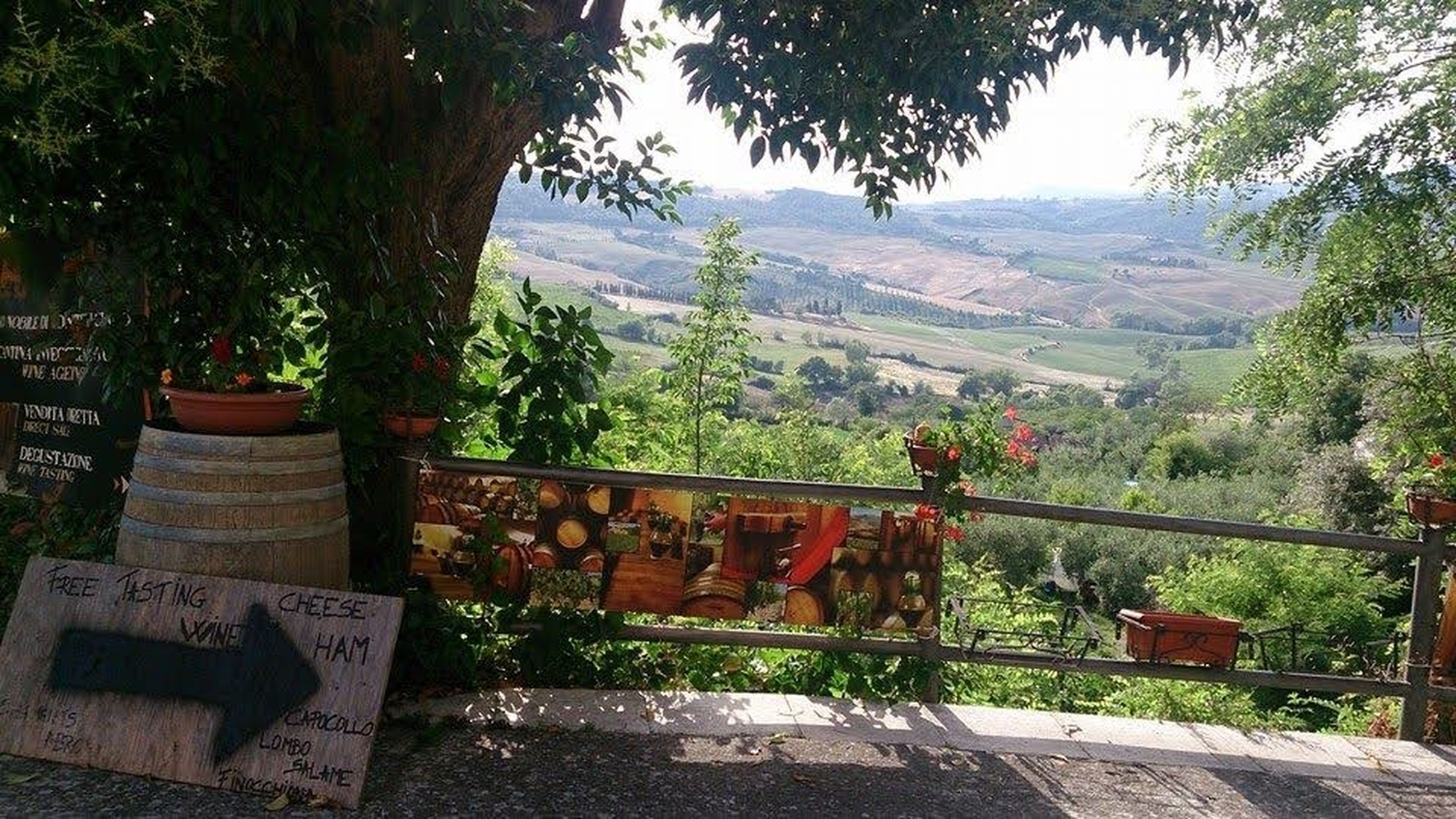 Paisaje típico de Toscana con una vinoteca cercana