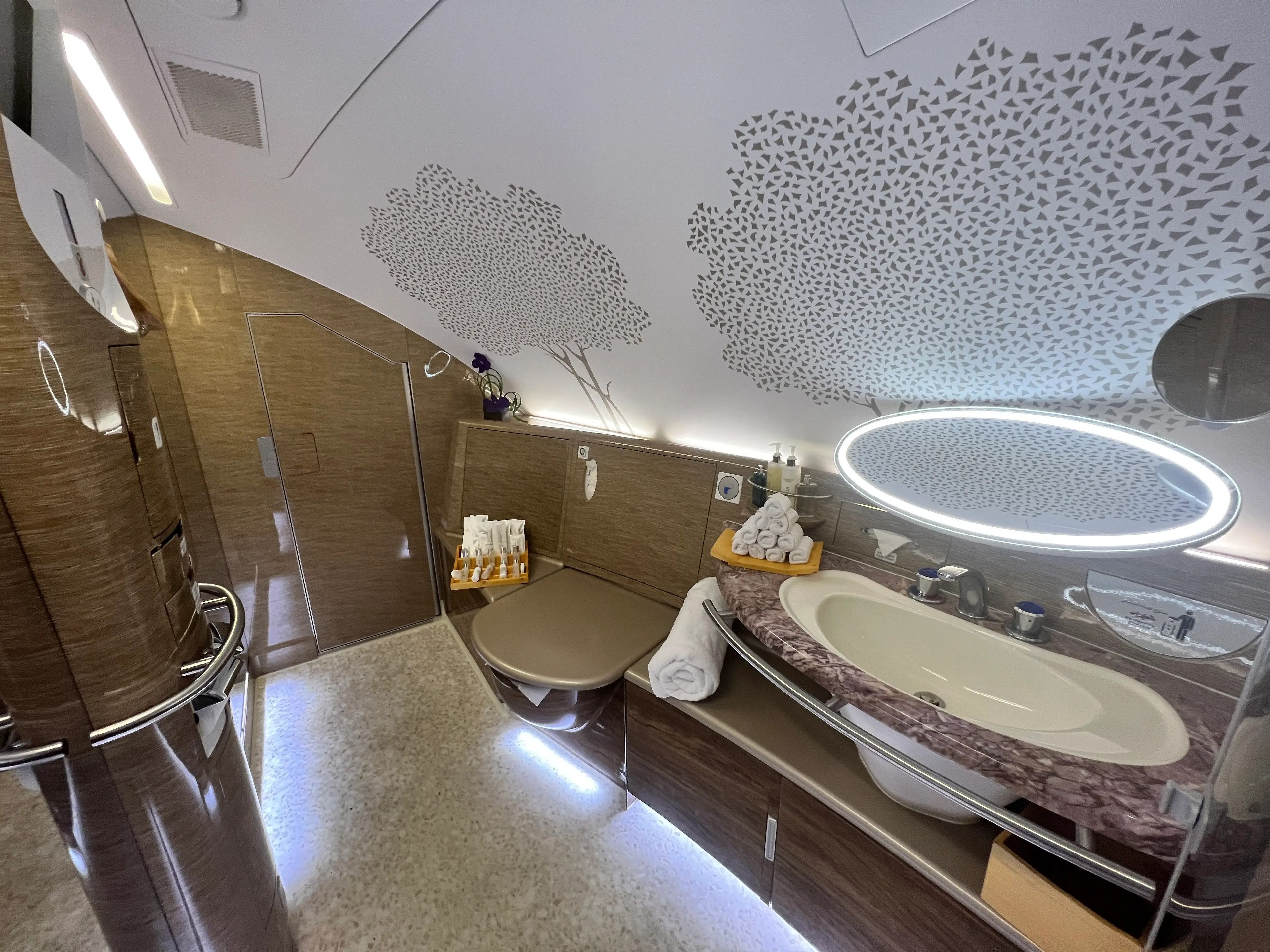A wide-angle view of a bathroom onboard the Emirates A380 first class, with a big sink, toilet, and ornate tree designs on the white wall.