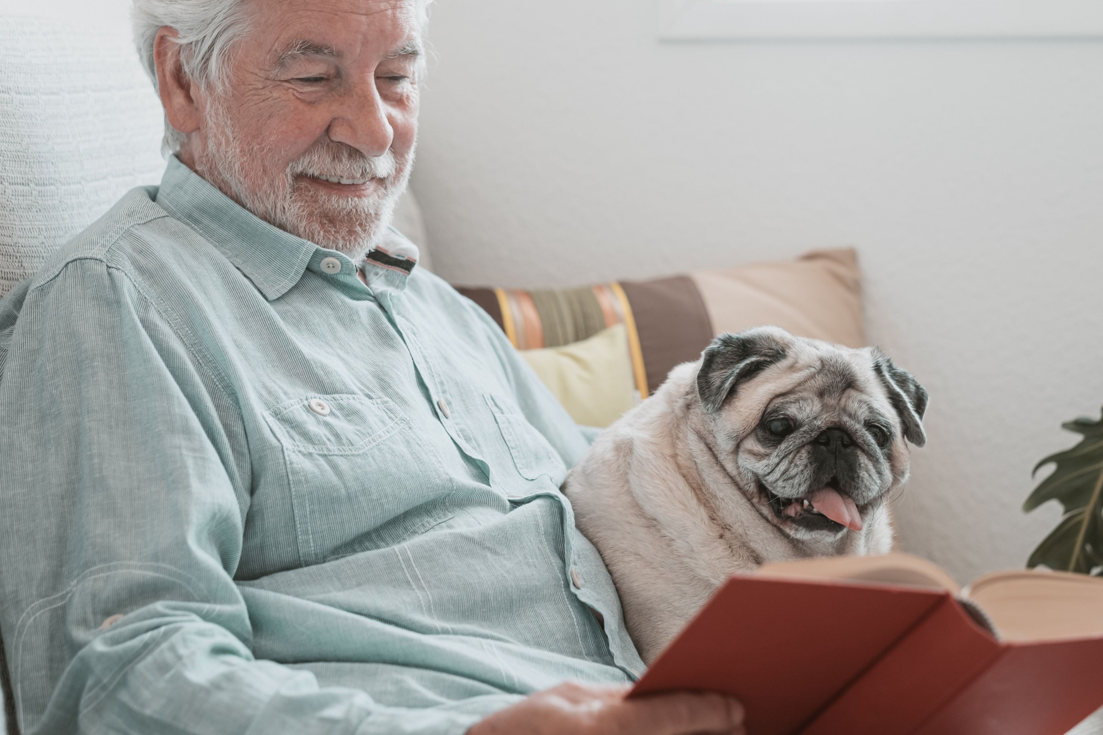 anciano, persona mayor, lectura, perro