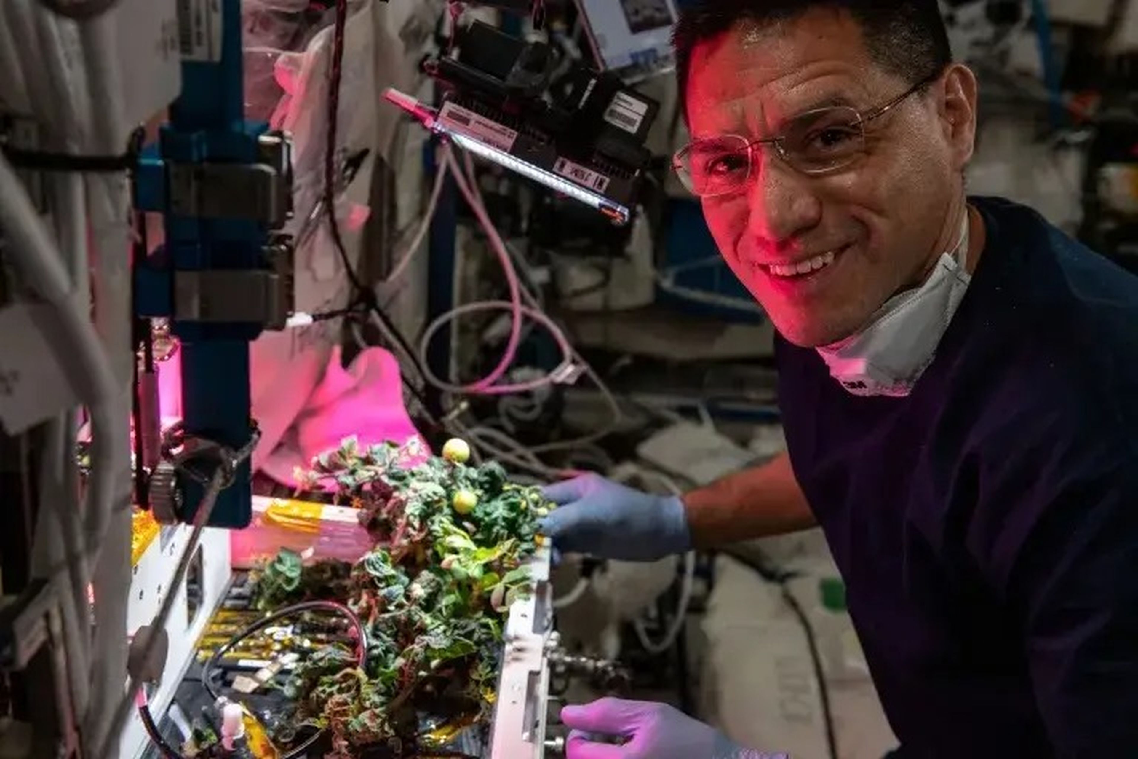 El astronauta de la NASA Frank Rubio fue exonerado después de que sus colegas le acusaran de haberse comido los tomates desaparecidos