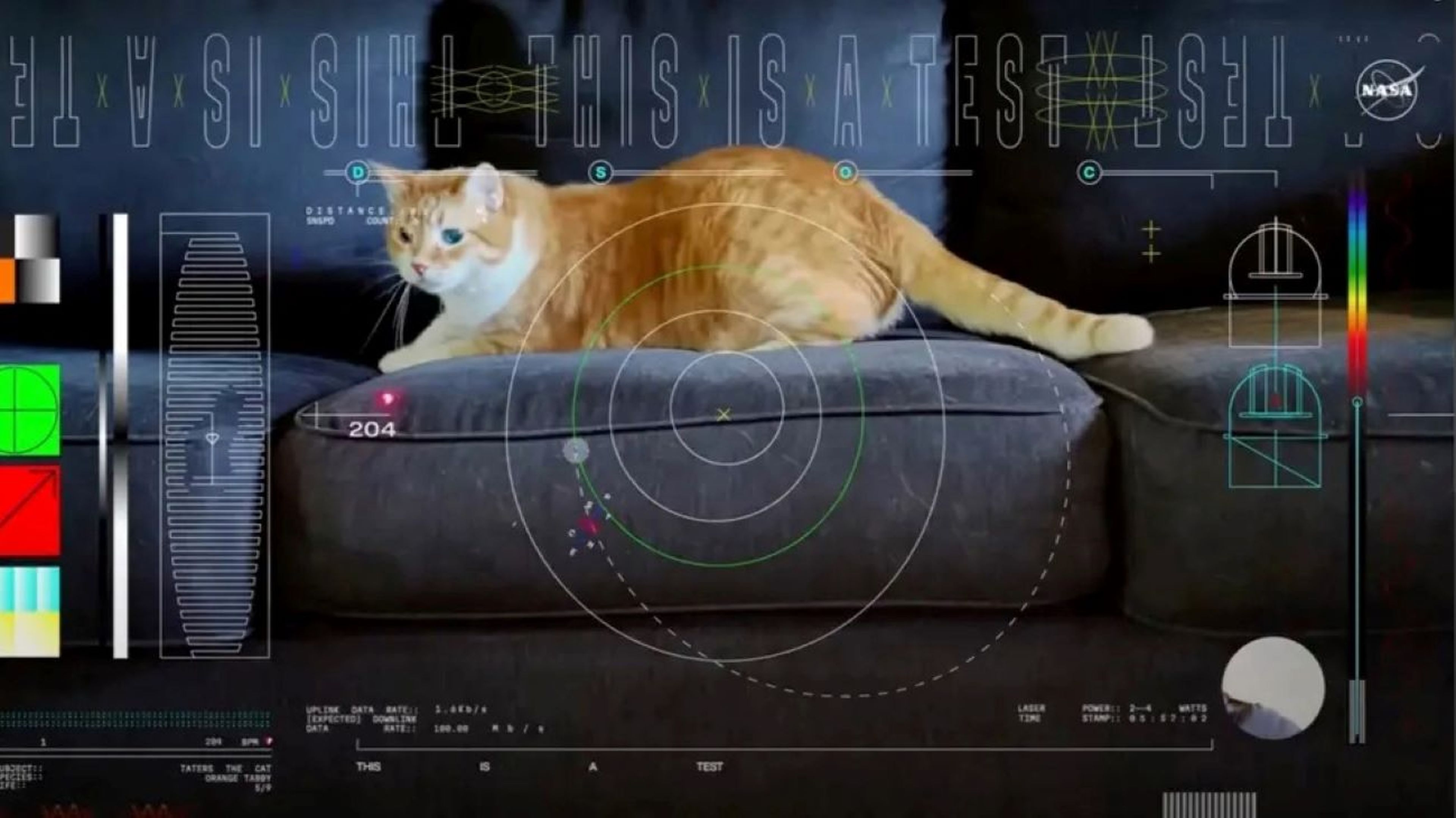 Un gato, en un vídeo transmitido por láser por la NASA