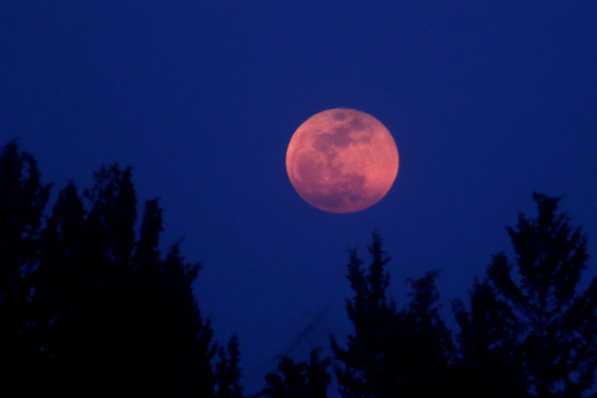 Calendario lunar 2024 ¿cuándo habrá Luna llena este año? Business