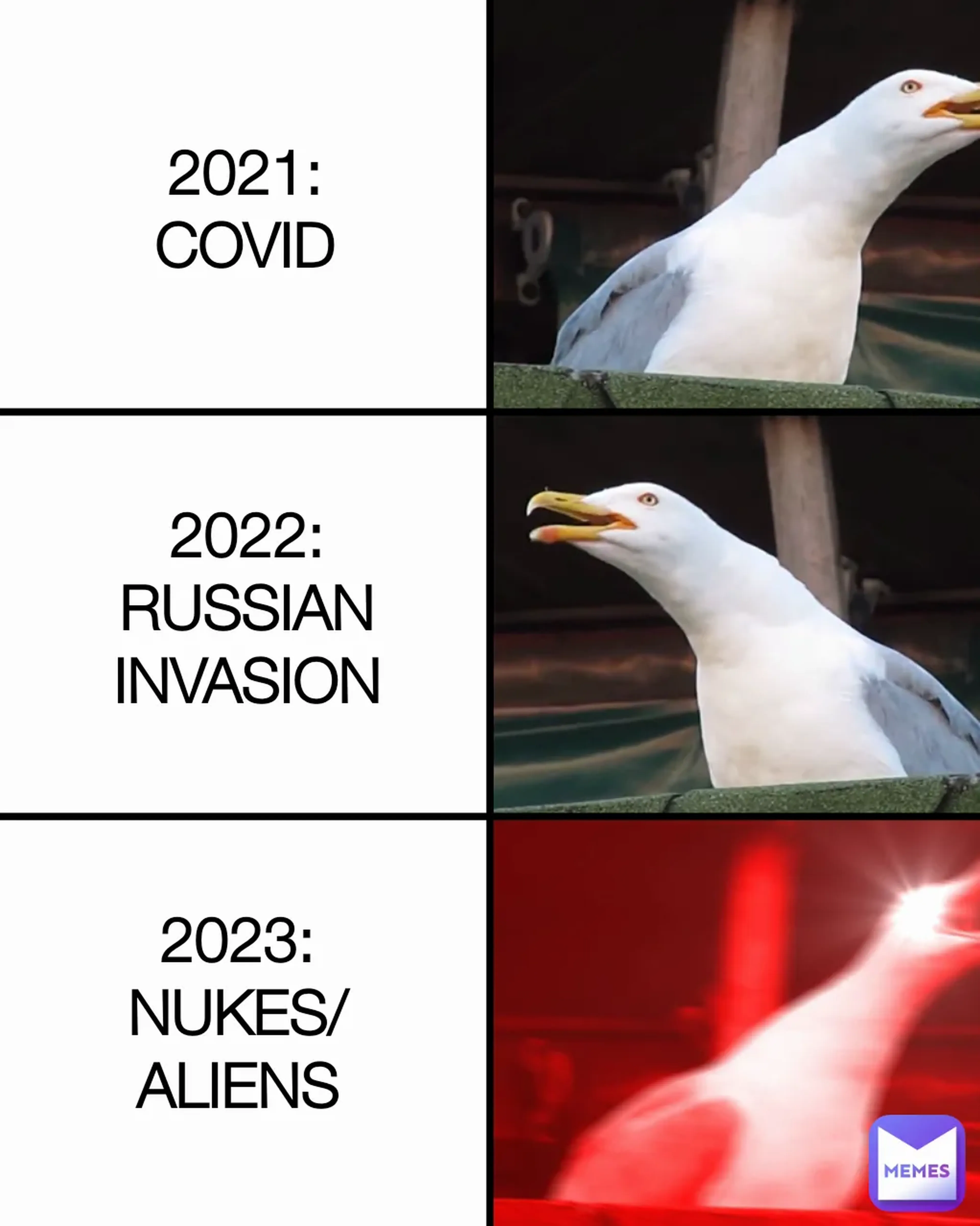 meme 2023